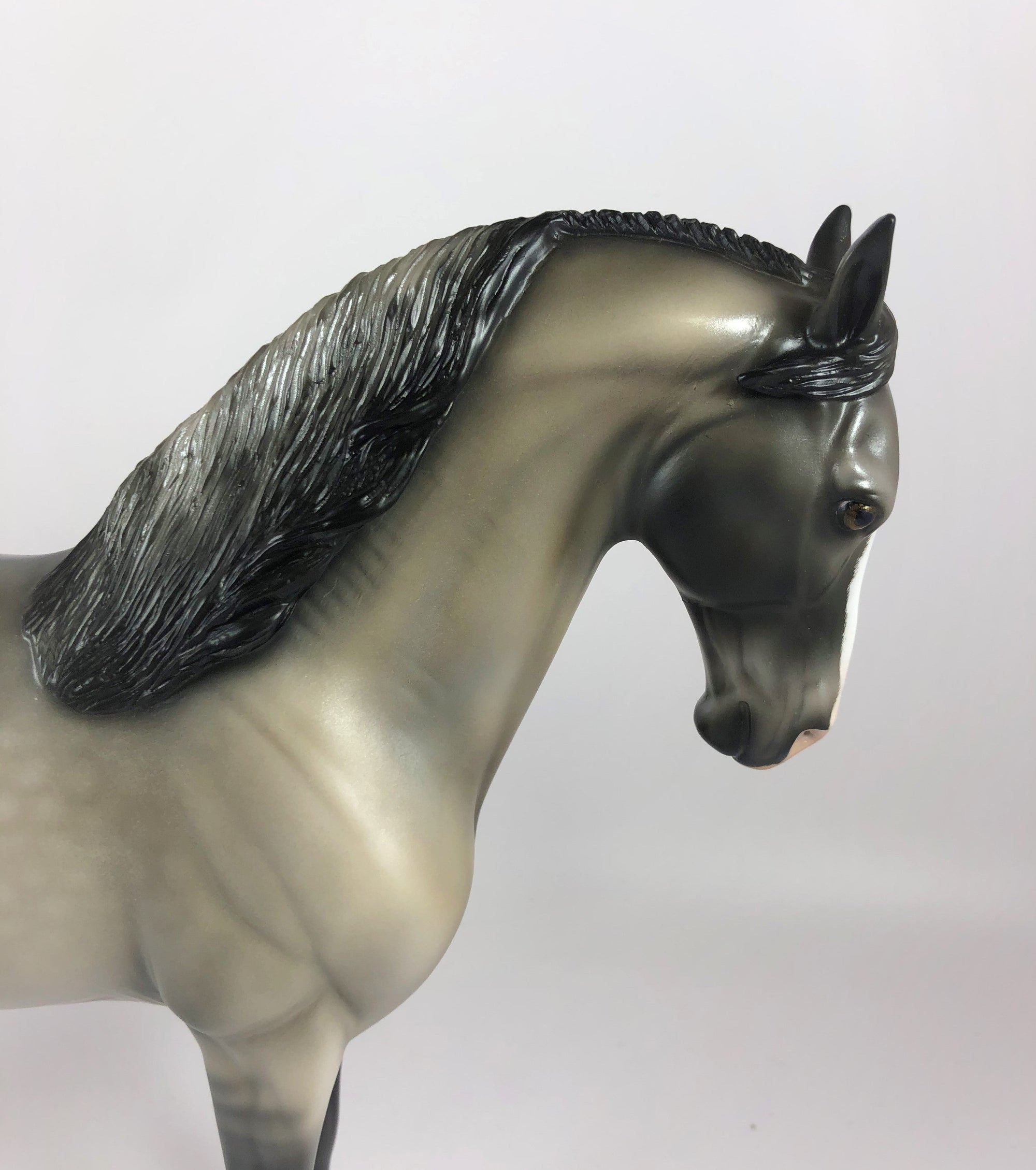 HECKLES -OOAK DAPPLE GRULLA  ANDALUSIAN MODEL HORSE BY AUDREY DIXON LHS 19