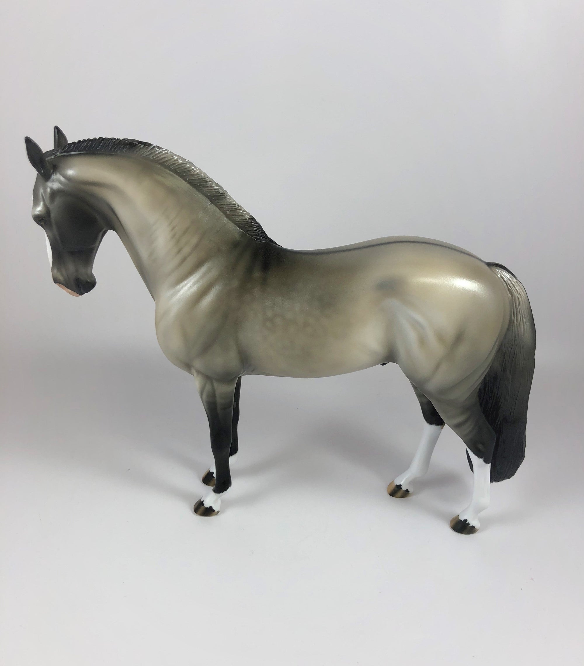 HECKLES -OOAK DAPPLE GRULLA  ANDALUSIAN MODEL HORSE BY AUDREY DIXON LHS 19