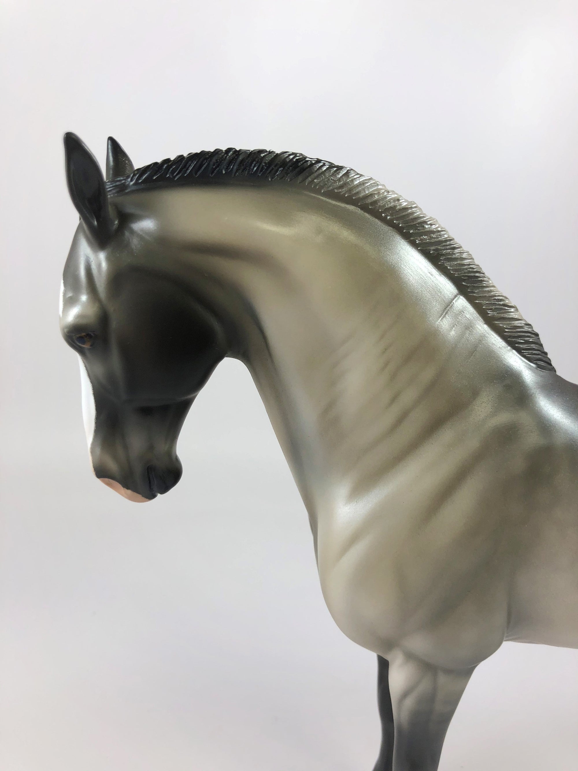 HECKLES -OOAK DAPPLE GRULLA  ANDALUSIAN MODEL HORSE BY AUDREY DIXON LHS 19