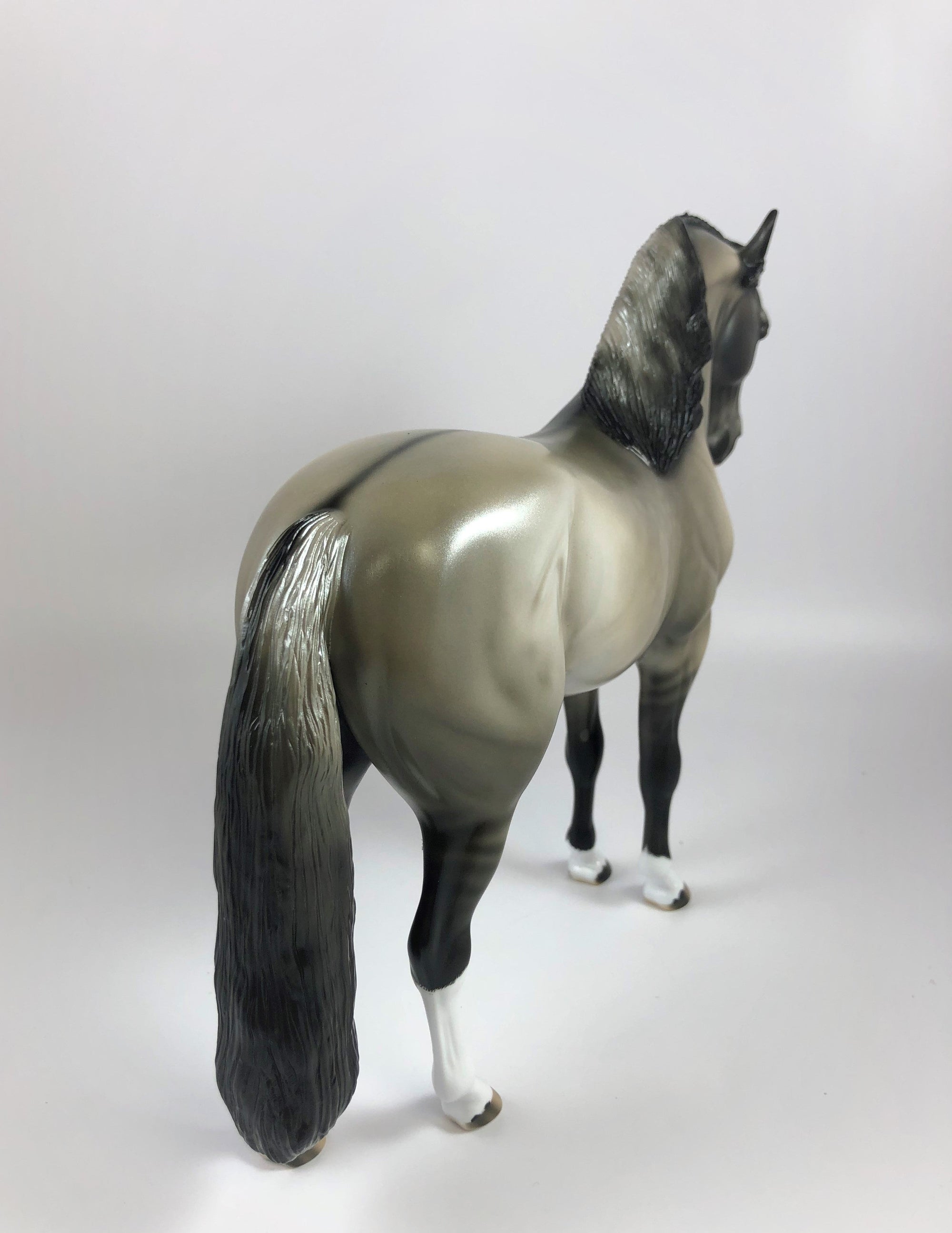 HECKLES -OOAK DAPPLE GRULLA  ANDALUSIAN MODEL HORSE BY AUDREY DIXON LHS 19