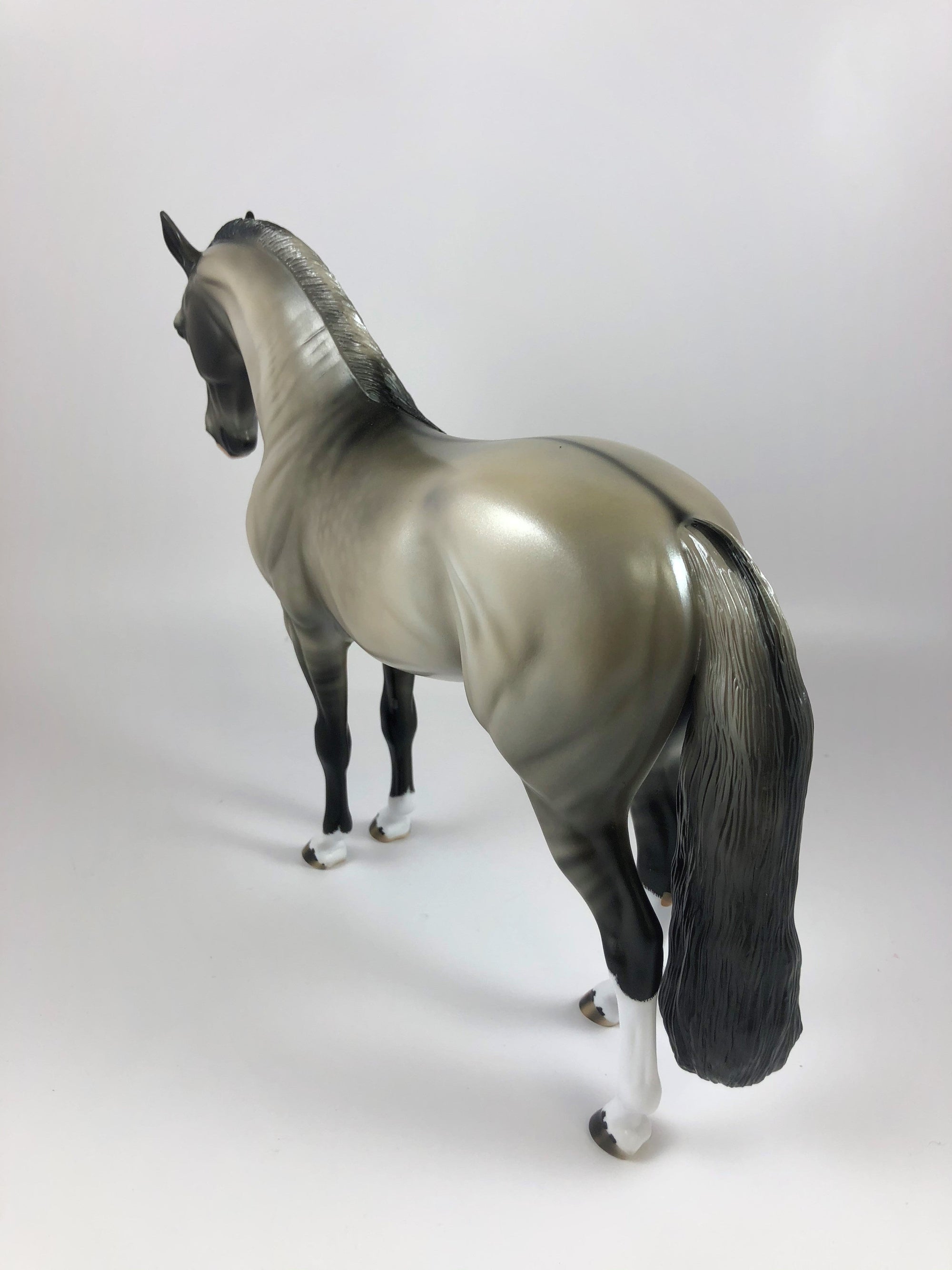 HECKLES -OOAK DAPPLE GRULLA  ANDALUSIAN MODEL HORSE BY AUDREY DIXON LHS 19