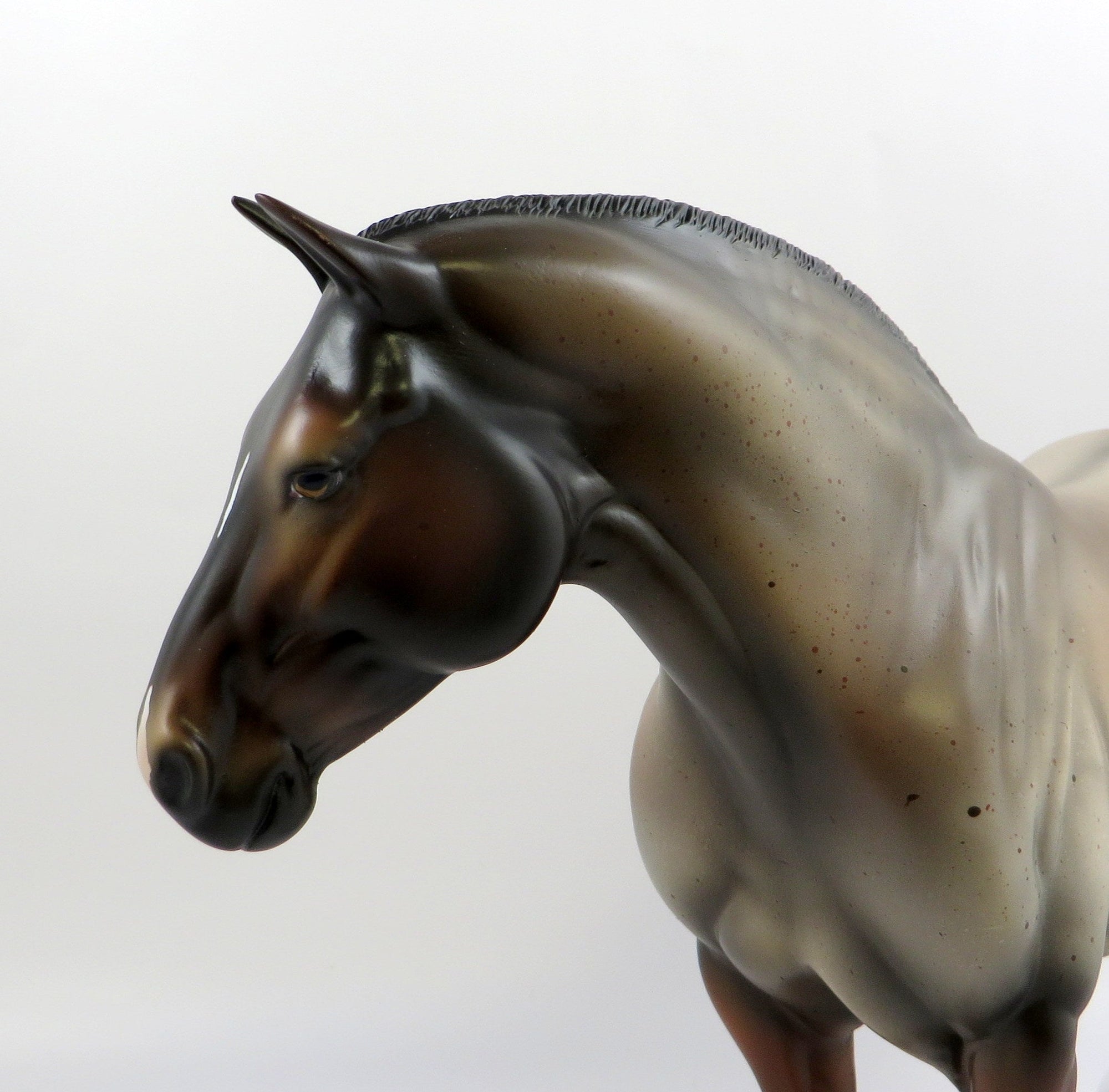 HEGUS-OOAK LIGHT DAPPLE BAY ROAN HEAVY DRAFTER MODEL HORSE EQ 19