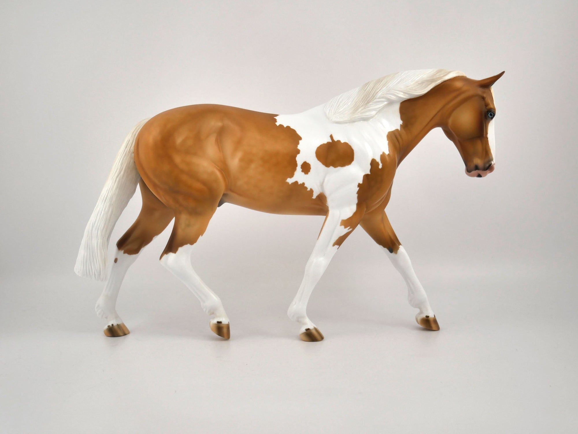 Hello Pumpkin-LE-16 Palomino Paint Irish Draft MM 2020