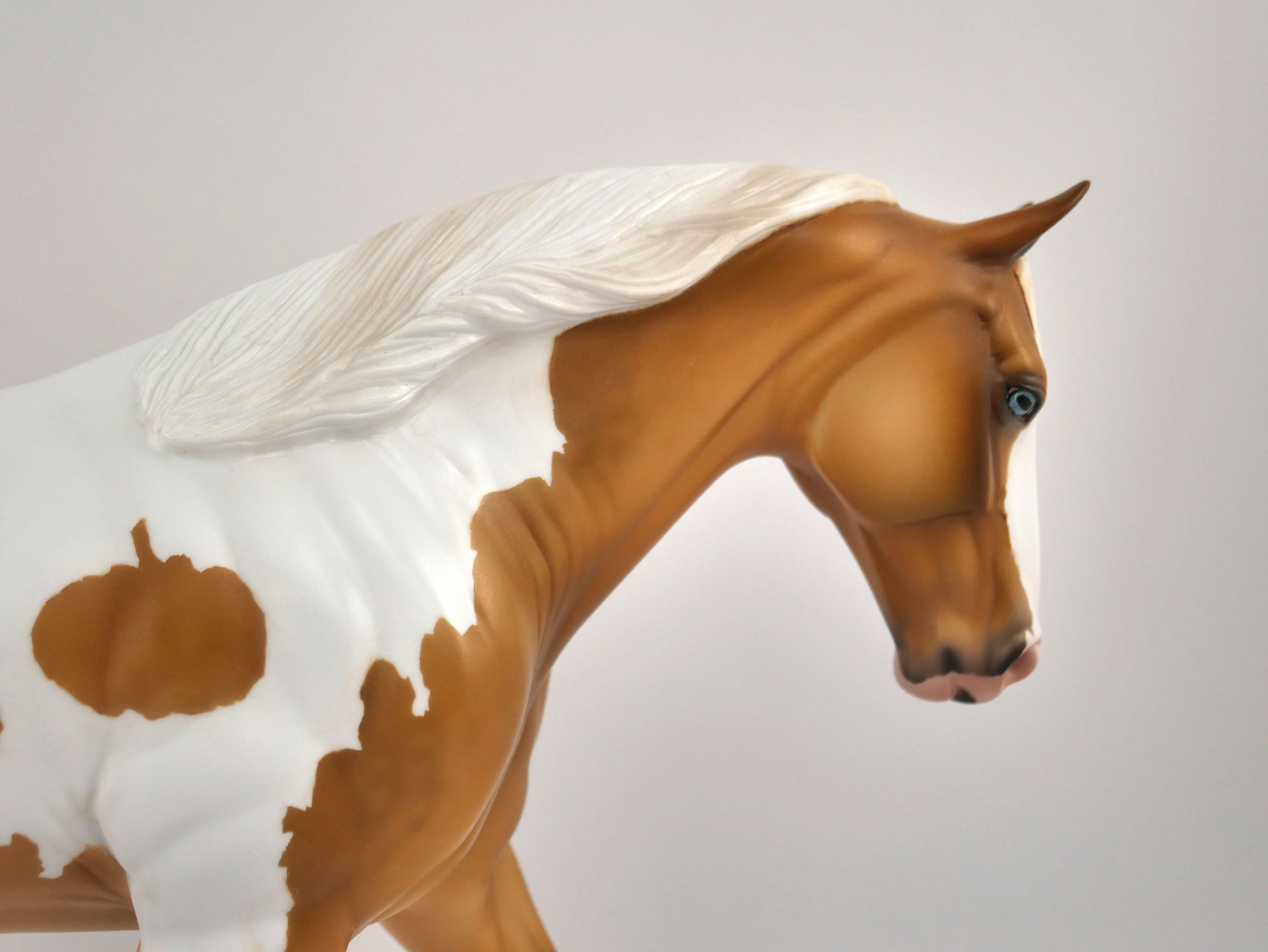 Hello Pumpkin-LE-16 Palomino Paint Irish Draft MM 2020