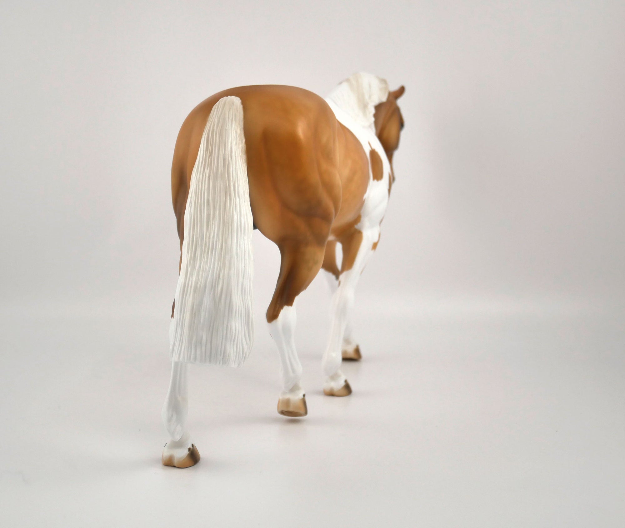 Hello Pumpkin-LE-16 Palomino Paint Irish Draft MM 2020