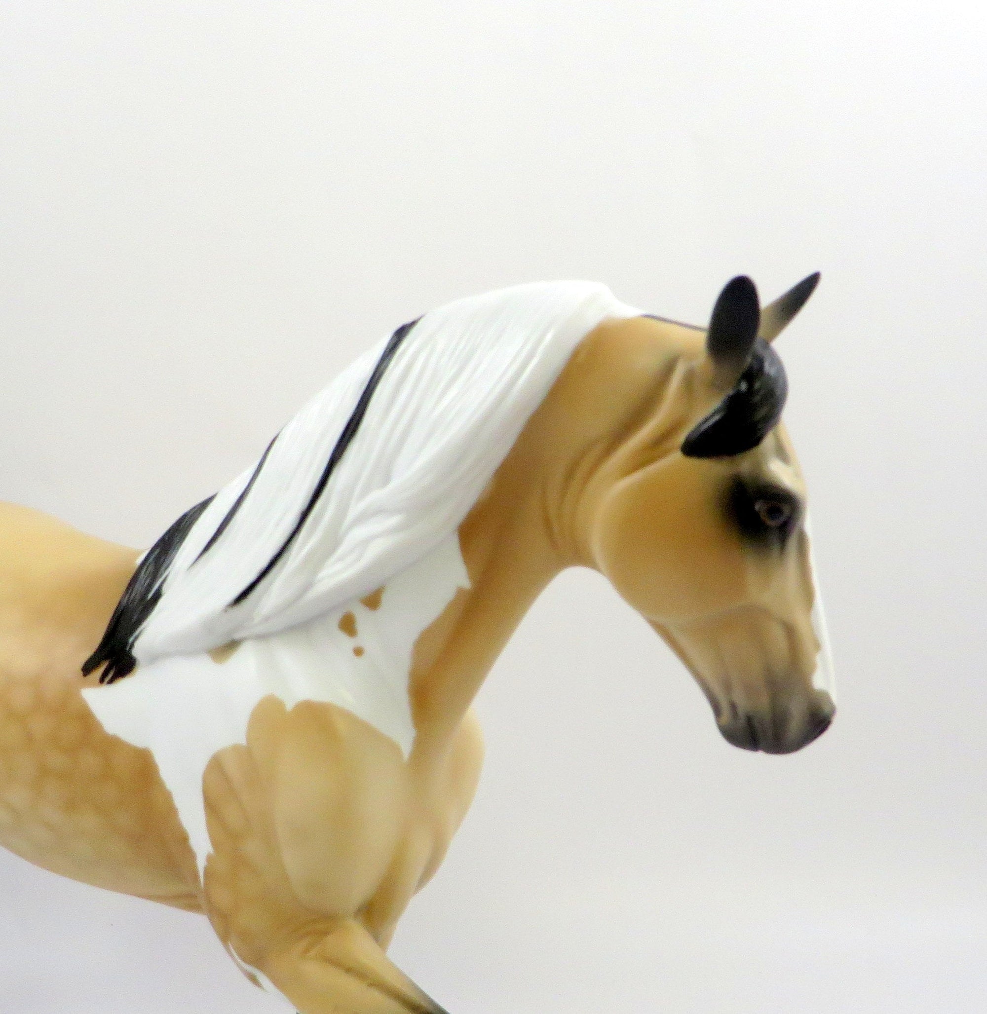 HEZEKIAH-OOAK DAPPLE PALOMINO TWH EQ 19