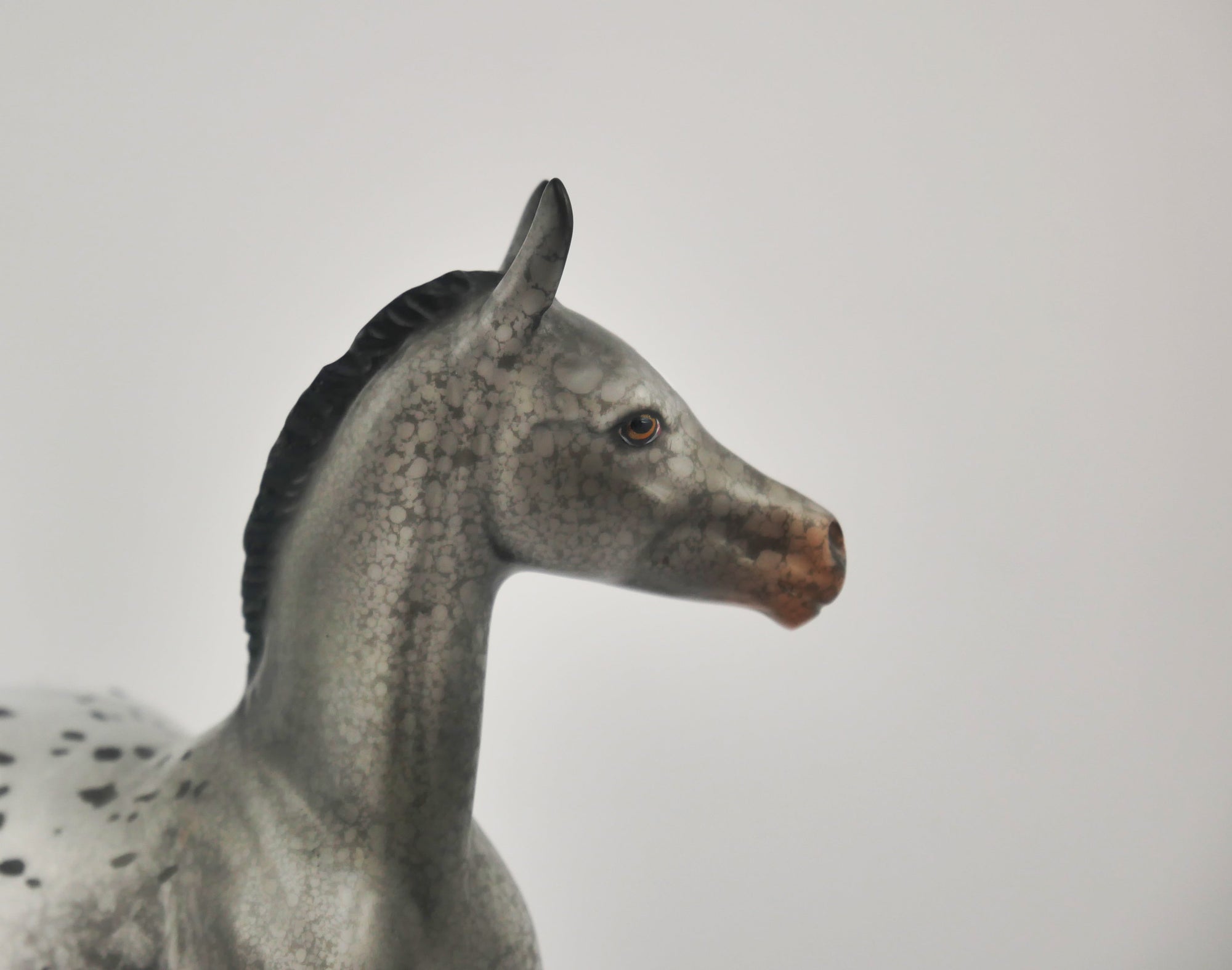 HOMBURG-OOAK APPALOOSA WEANLING BY DAWN QUICK