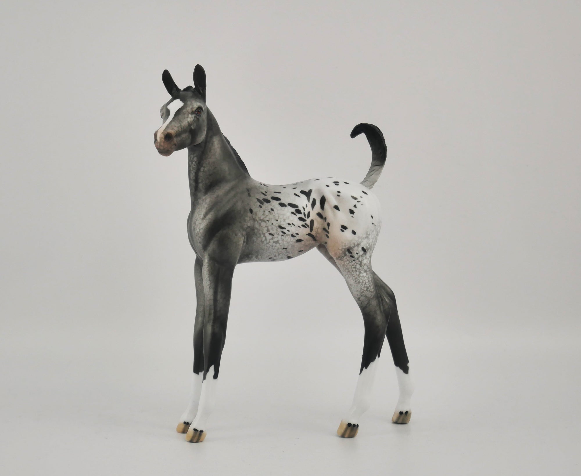 HOMBURG-OOAK APPALOOSA WEANLING BY DAWN QUICK