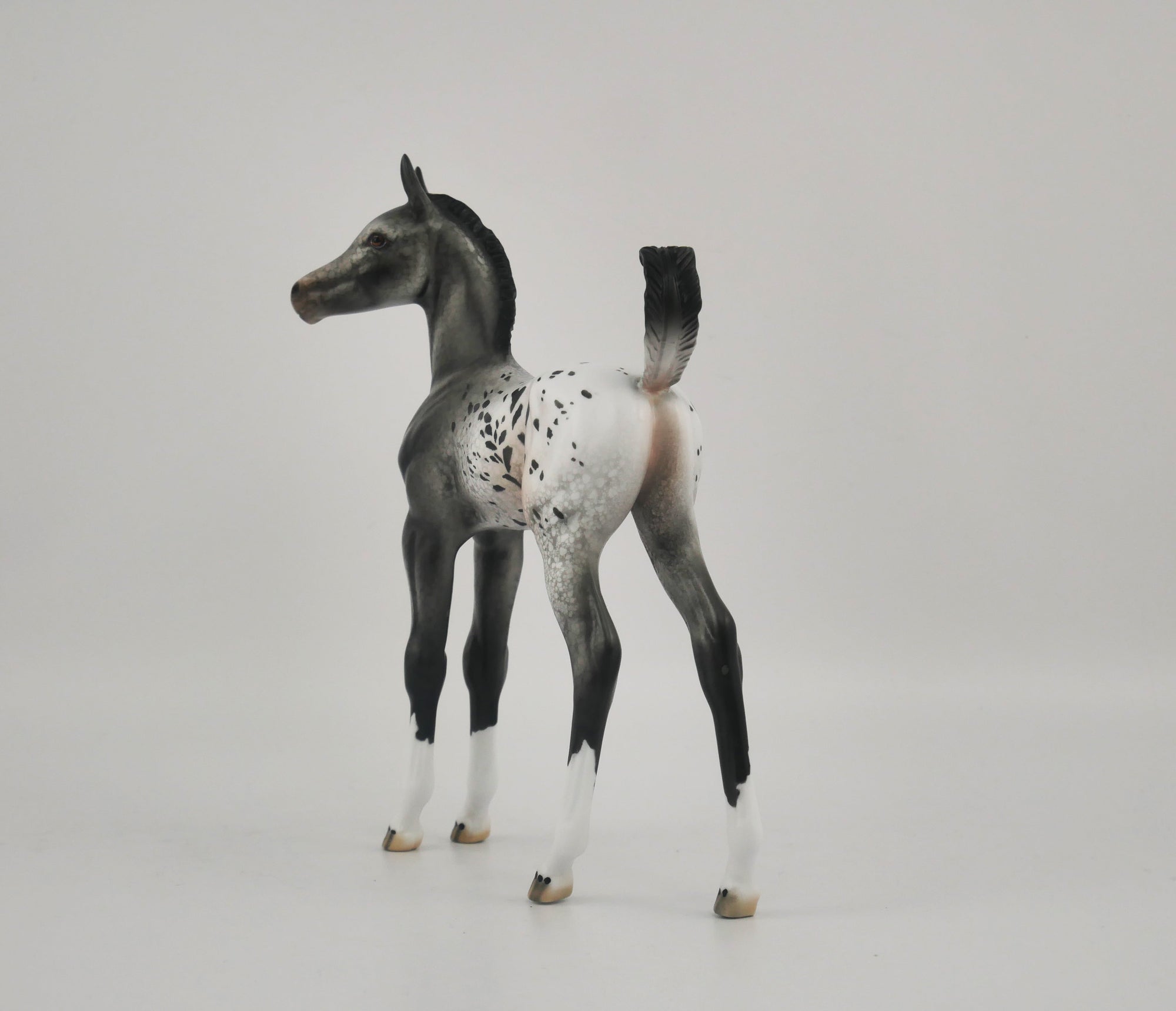 HOMBURG-OOAK APPALOOSA WEANLING BY DAWN QUICK