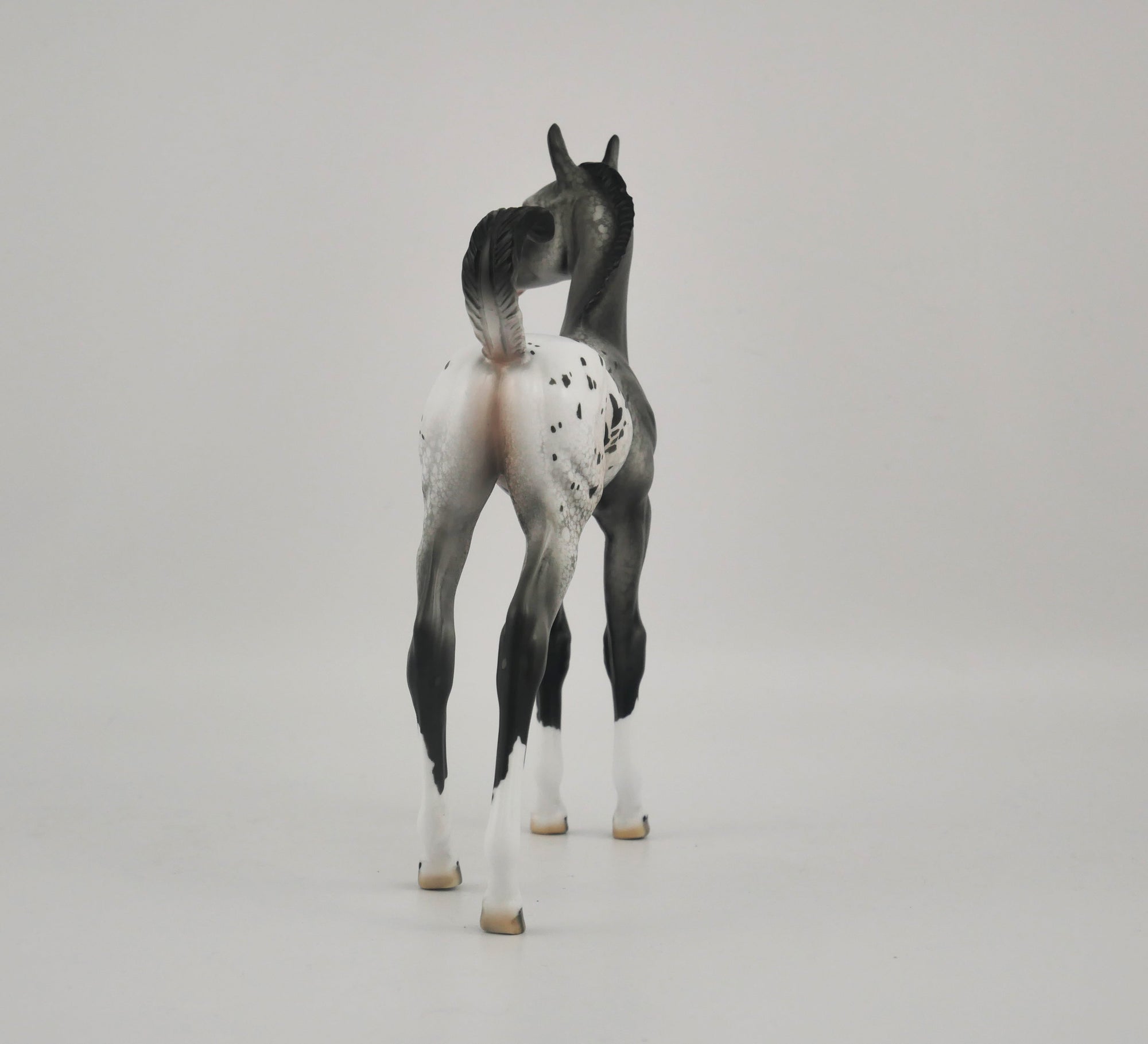 HOMBURG-OOAK APPALOOSA WEANLING BY DAWN QUICK