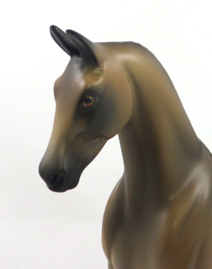 TOUCHDOWN - OOAK VARNISH BUCKSKIN ROAN  FQH  BY MISSY FOX SB20