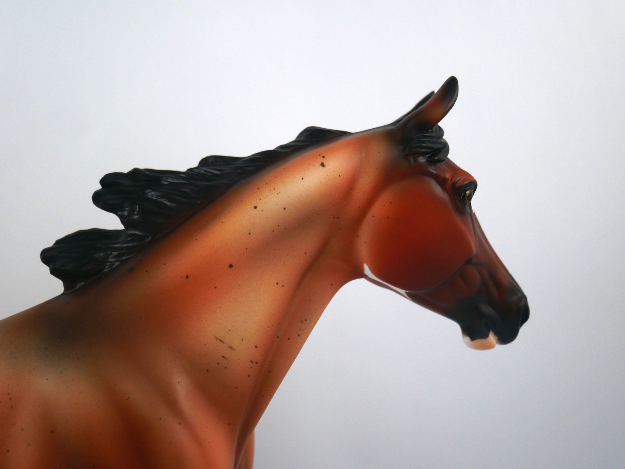 Honey-OOAK Bay Roan Palouse  Model Horse 1/20/21
