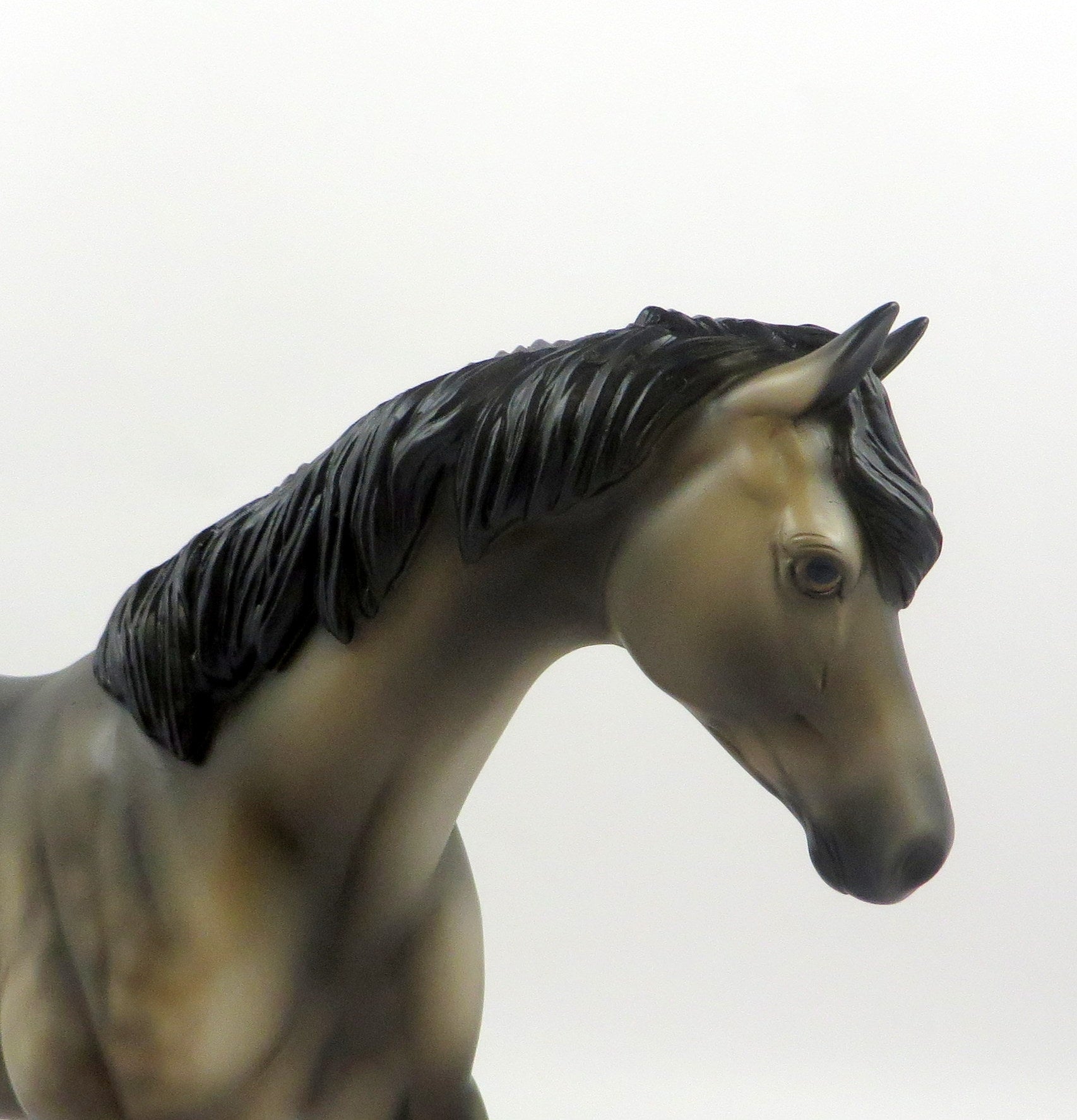 HONOR-OOAK SOOTY BUCKSKIN PONY MODEL HORSE EQ 19