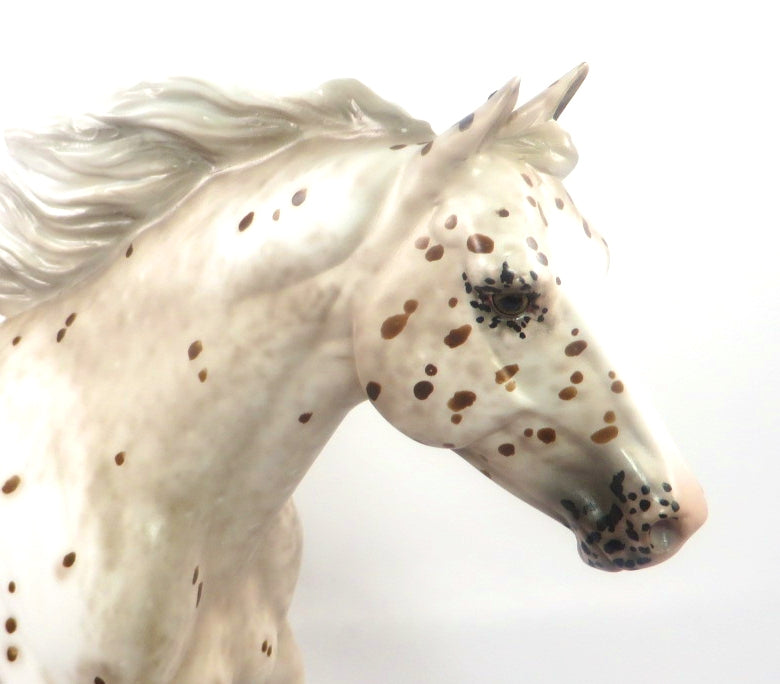 HOOLEY - OOAK BAY LEOPARD APPALOOSA FQH BY SHERYL LEISURE  SB20