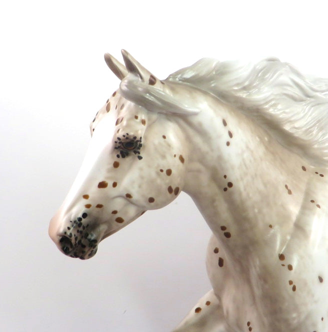 HOOLEY - OOAK BAY LEOPARD APPALOOSA FQH BY SHERYL LEISURE  SB20