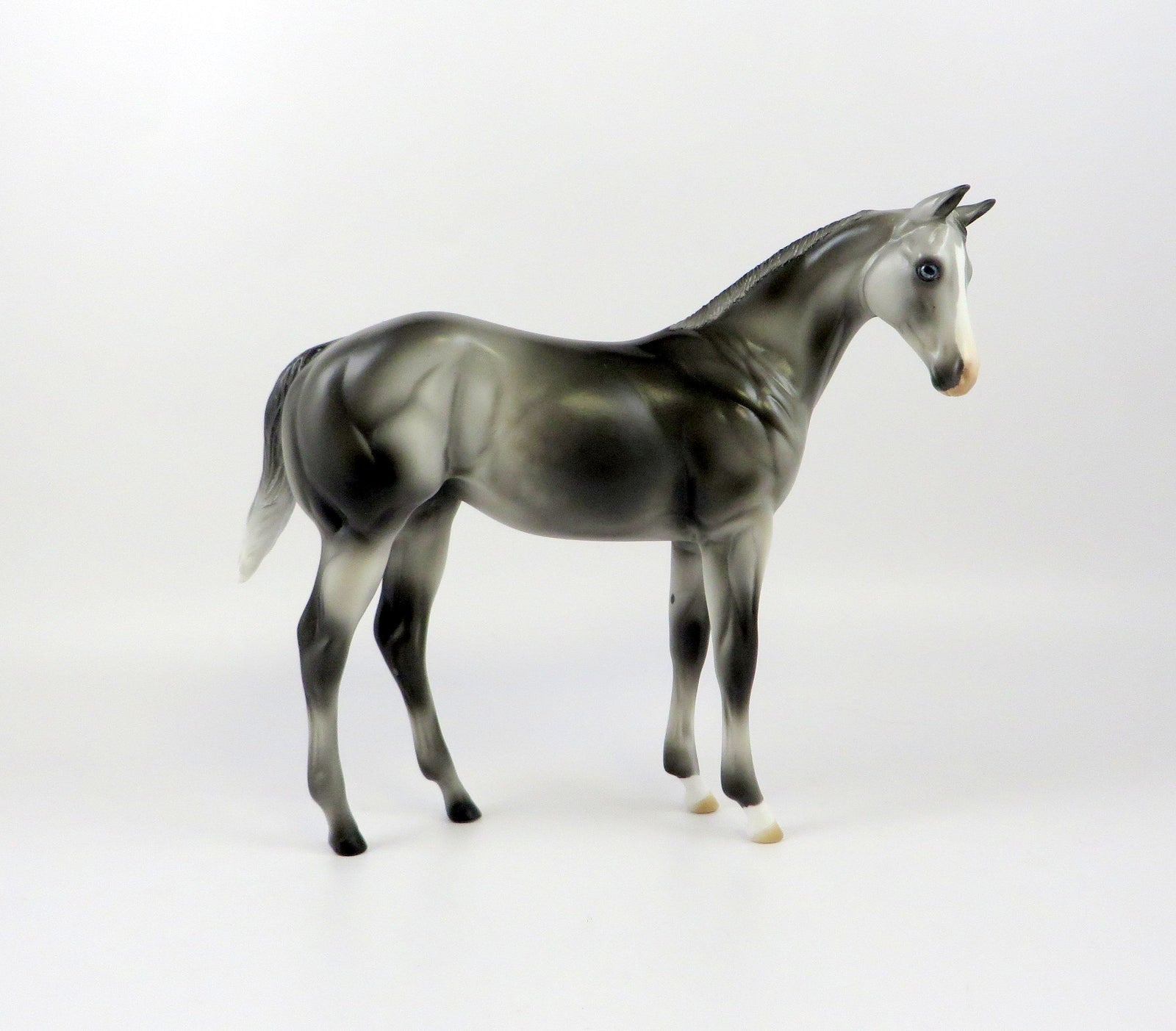 HOPKIN-OOAK GREY WEANLING MODEL HORSE EQ 19