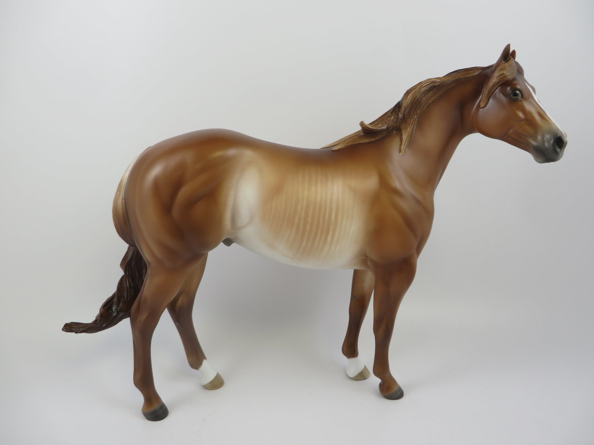 RABICANO