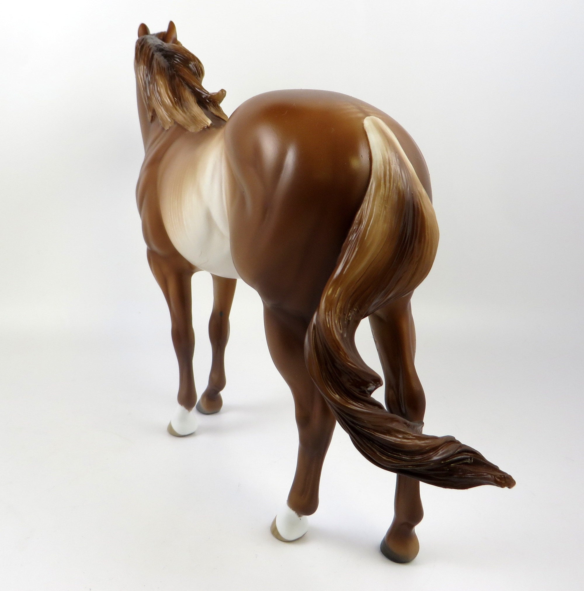 HORNBURG-OOAK CHESTNUT RABICANO ISH EQ 2019