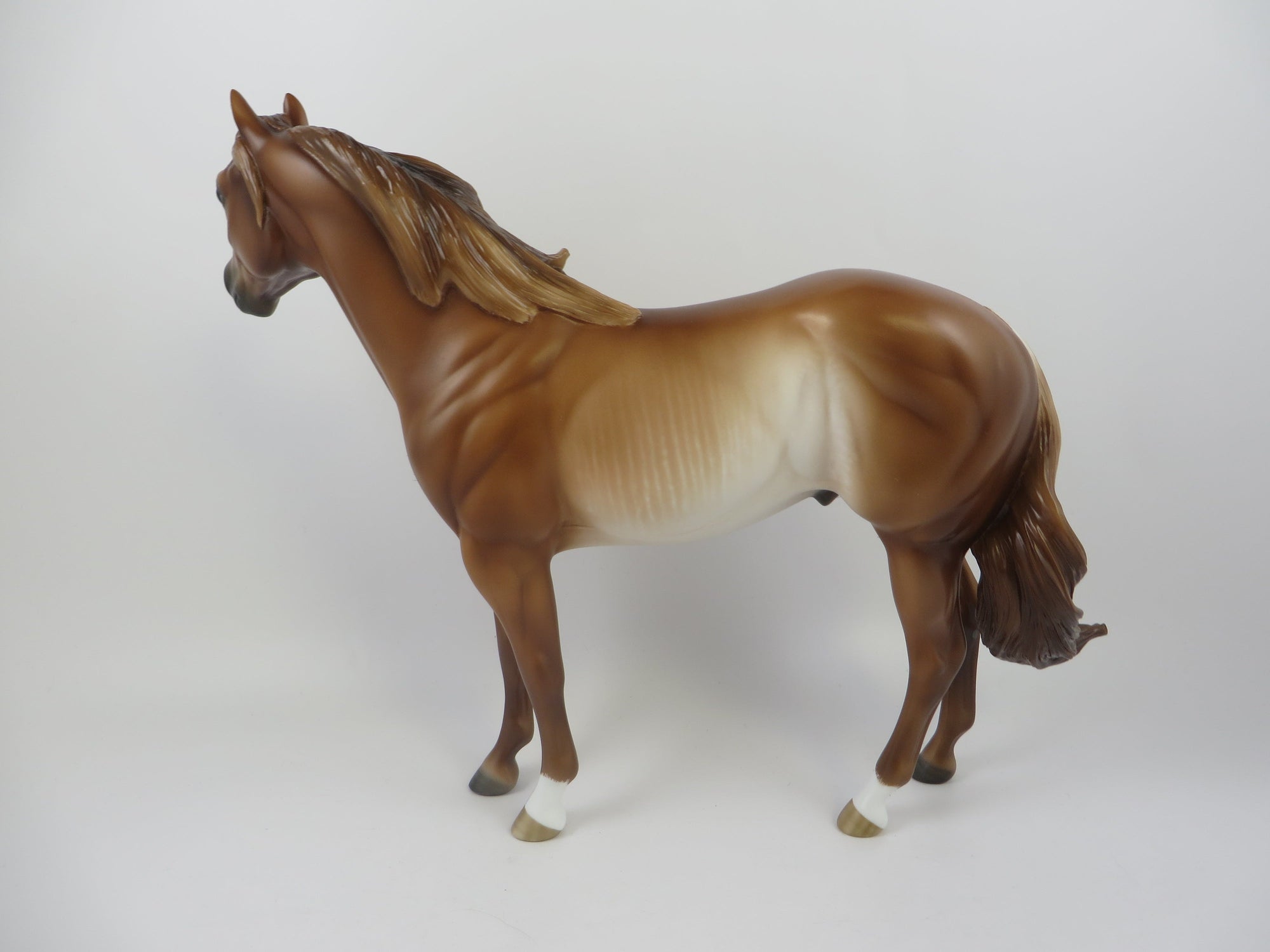 HORNBURG-OOAK CHESTNUT RABICANO ISH EQ 2019