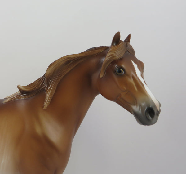 HORNBURG-OOAK CHESTNUT RABICANO ISH EQ 2019 - Stone Horses