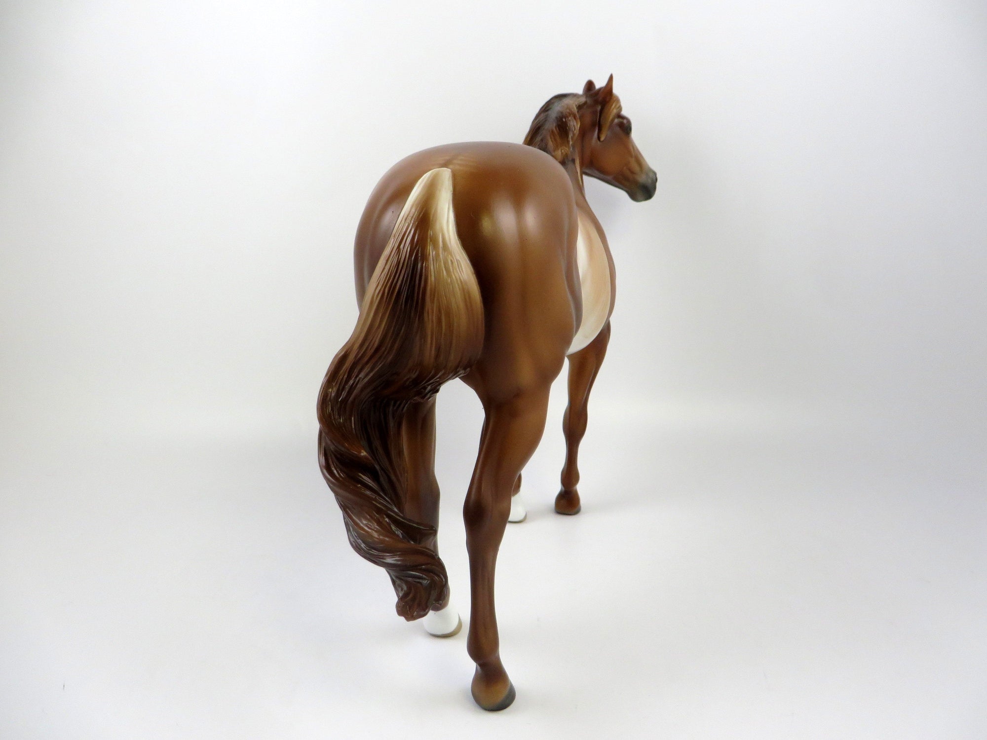 HORNBURG-OOAK CHESTNUT RABICANO ISH EQ 2019