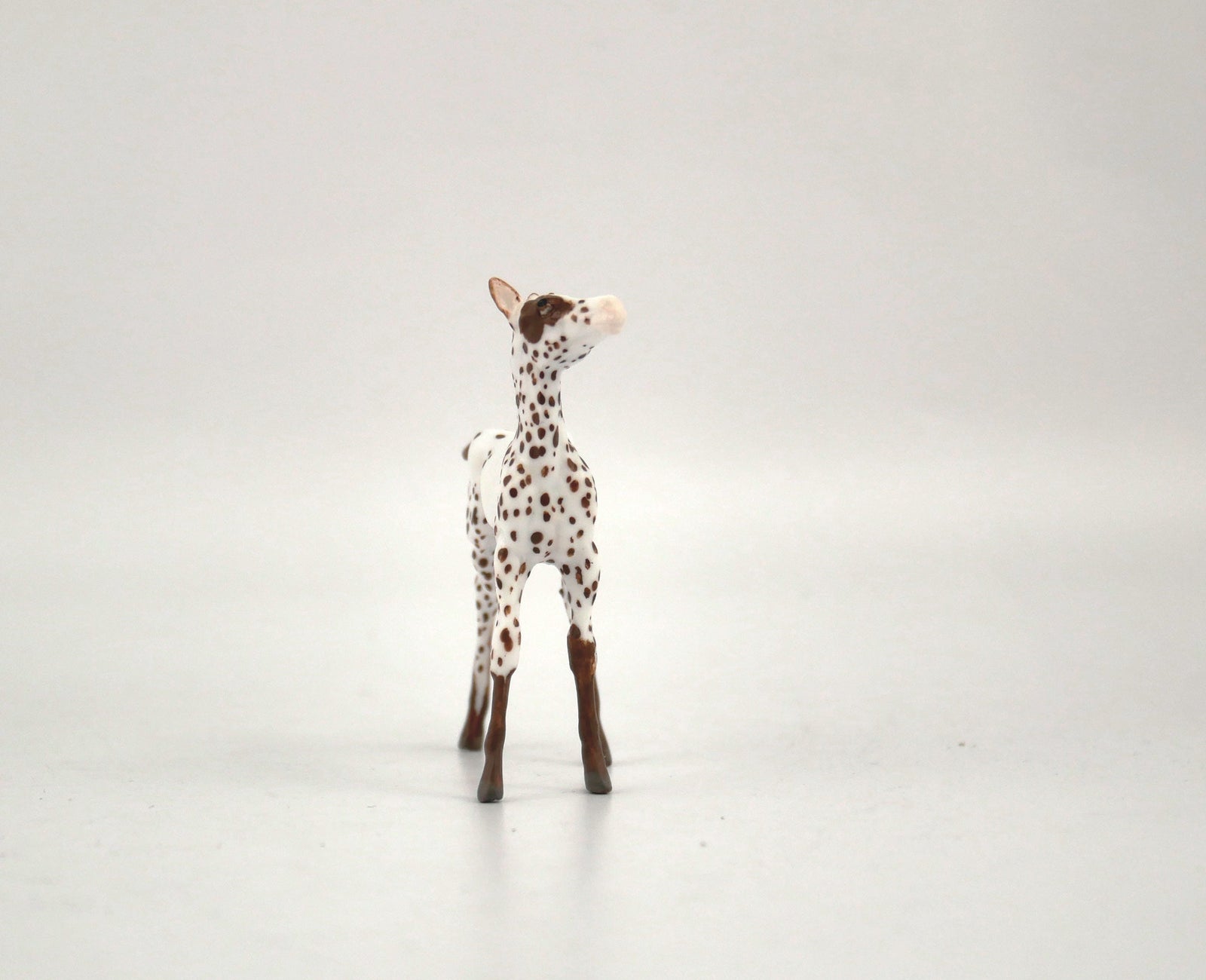 Hosair-OOAK Foal Appaloosa Chip By Andrea MM 2020