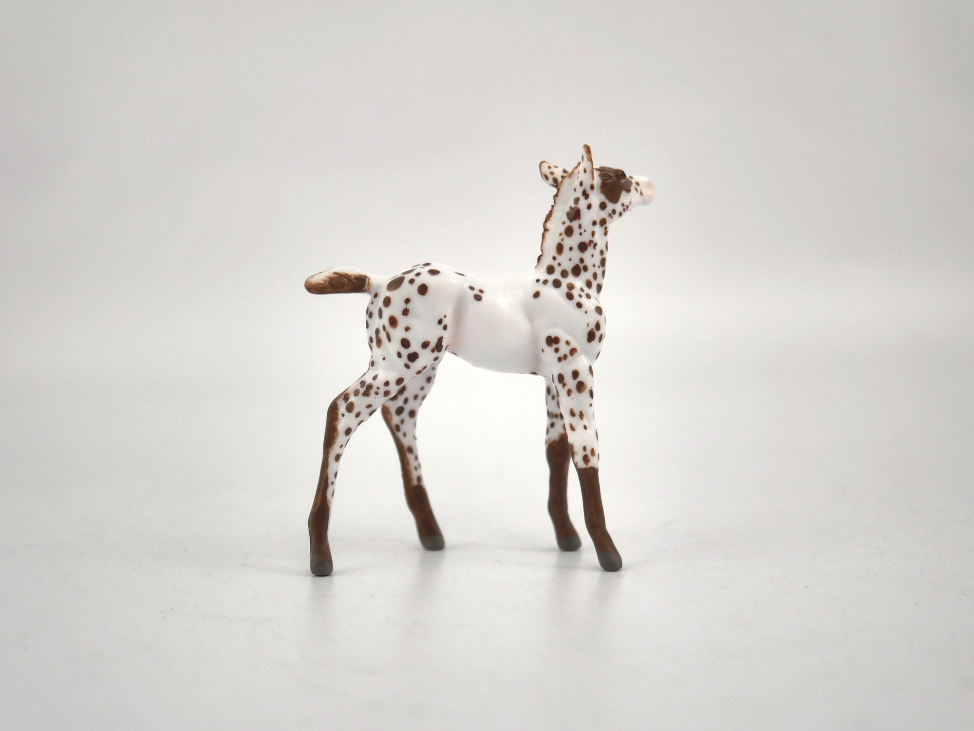Hosair-OOAK Foal Appaloosa Chip By Andrea MM 2020