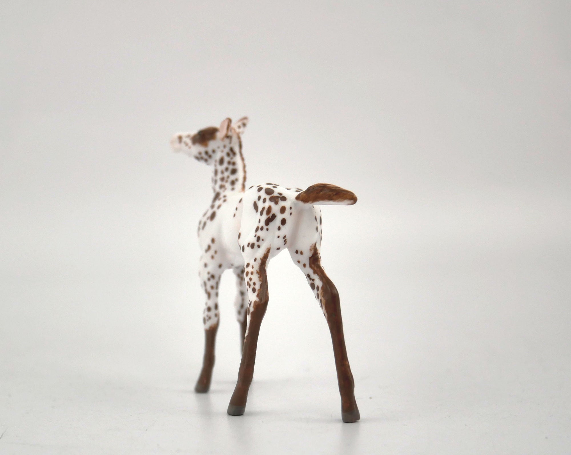 Hosair-OOAK Foal Appaloosa Chip By Andrea MM 2020