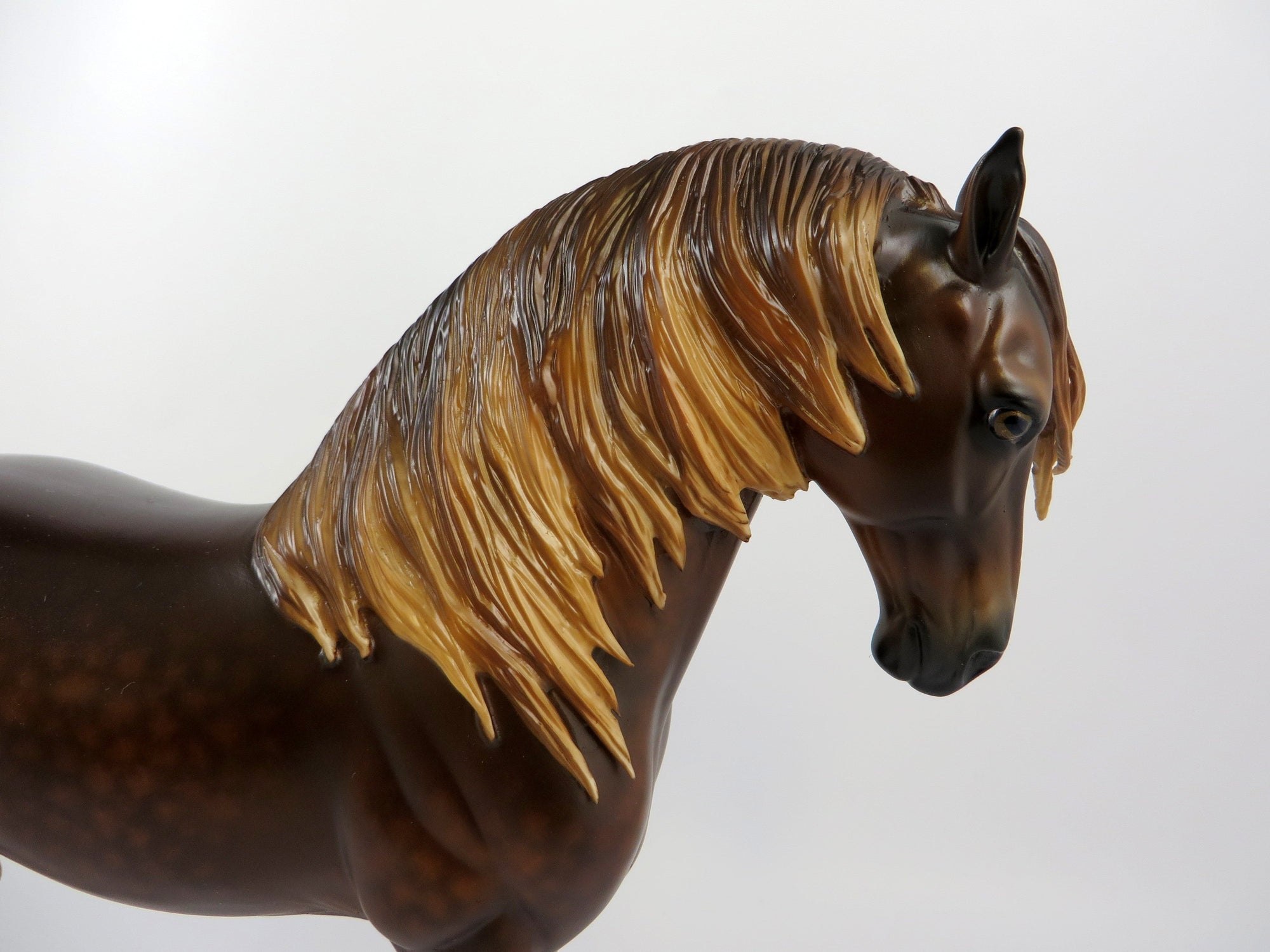 HYRULE-OOAK DAPPLE CHESTNUT ANDALUSIAN BY SHERYL LEISURE EQ 2019