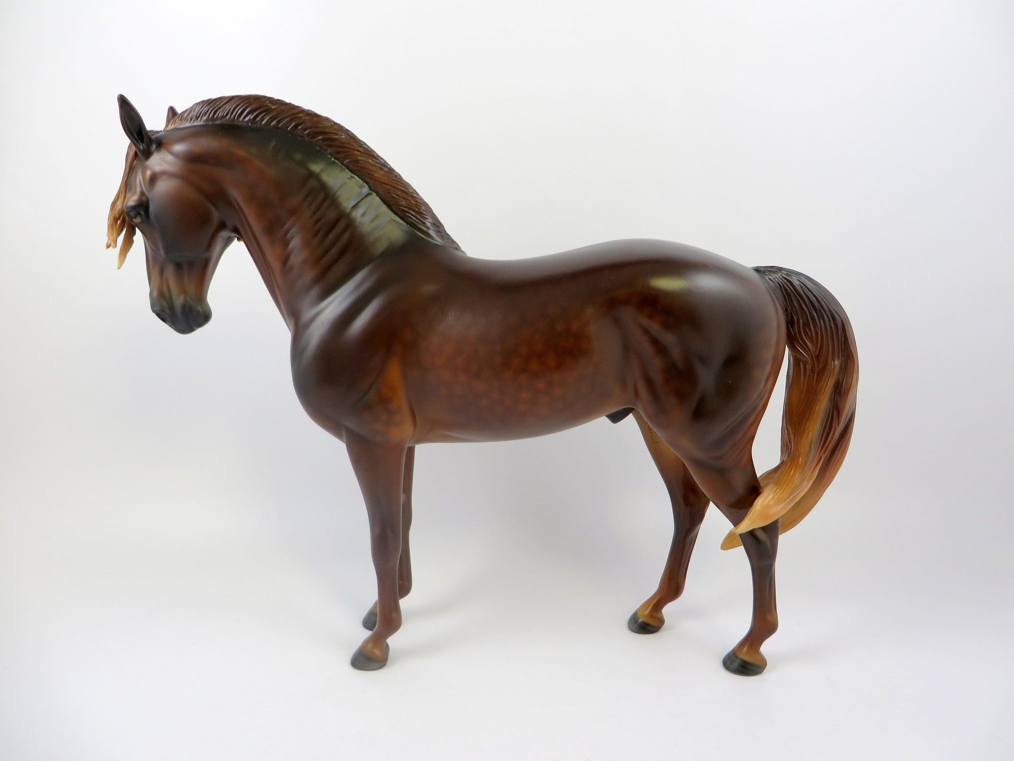 HYRULE-OOAK DAPPLE CHESTNUT ANDALUSIAN BY SHERYL LEISURE EQ 2019