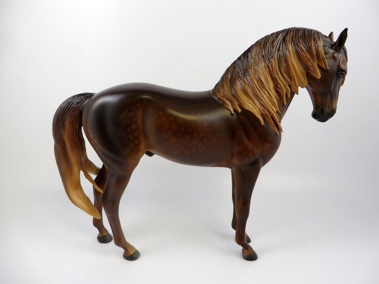 HYRULE-OOAK DAPPLE CHESTNUT ANDALUSIAN BY SHERYL LEISURE EQ 2019