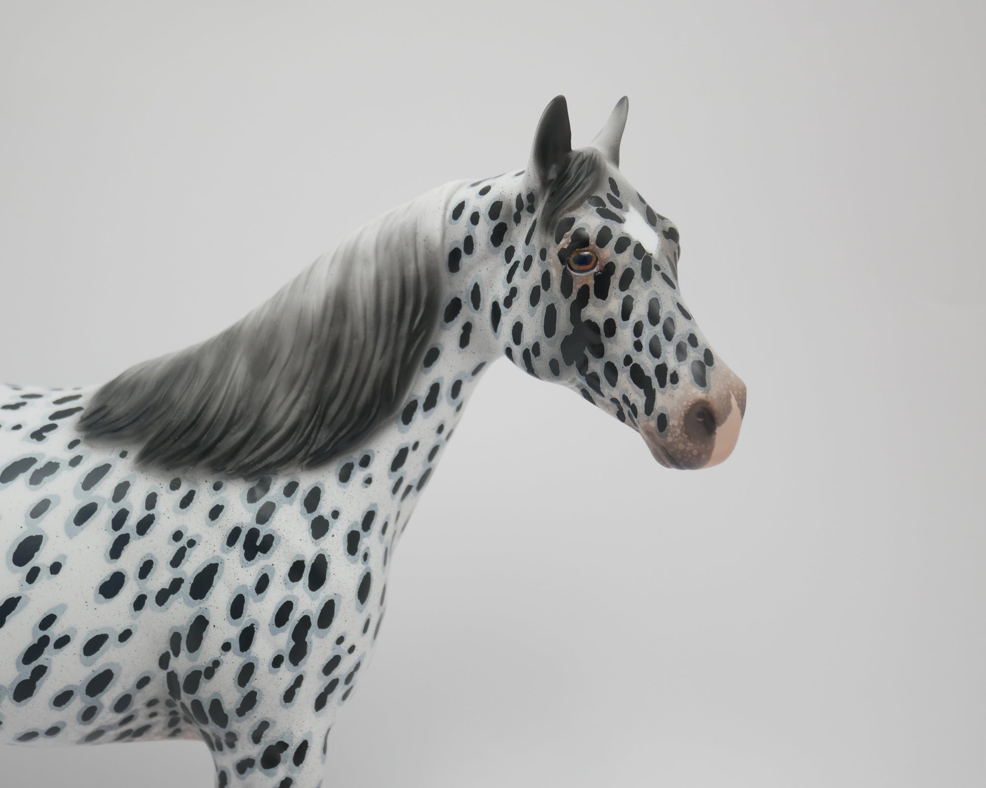 I SEE SPOTS-OOAK LOUD APPALOOSA ISH MODEL HORSE BY AUDREY DIXON 3/13/20