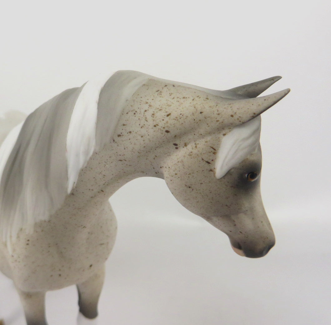 ICE MAIDEN-OOAK FLEABIT GREY ARABIAN MARE PEBBLES BY AUDREY DIXON WHS 19