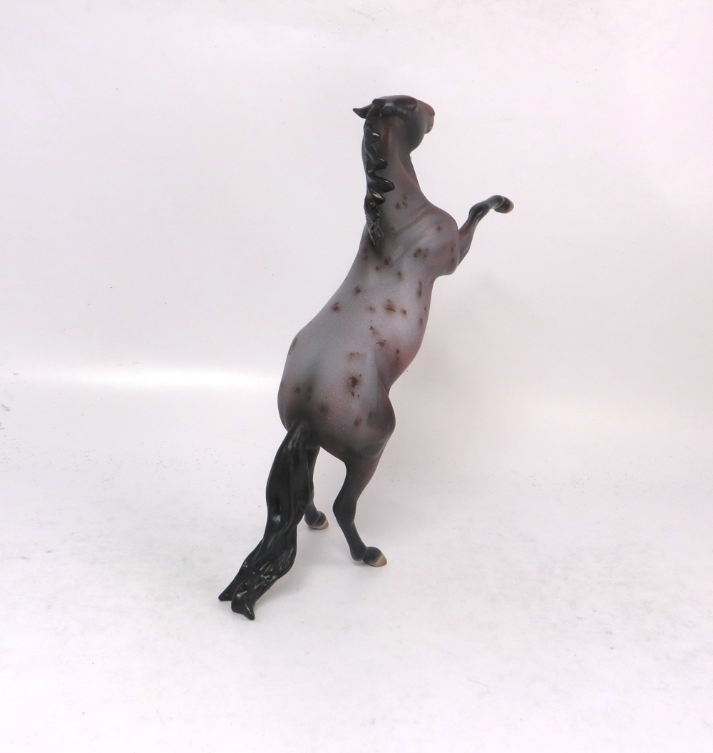 ICE CREAM SOCIAL-LANCELOT-LE-15 NON ATTENDEES BAY ROAN REARING PEBBLES-EQUILOCITY 2019