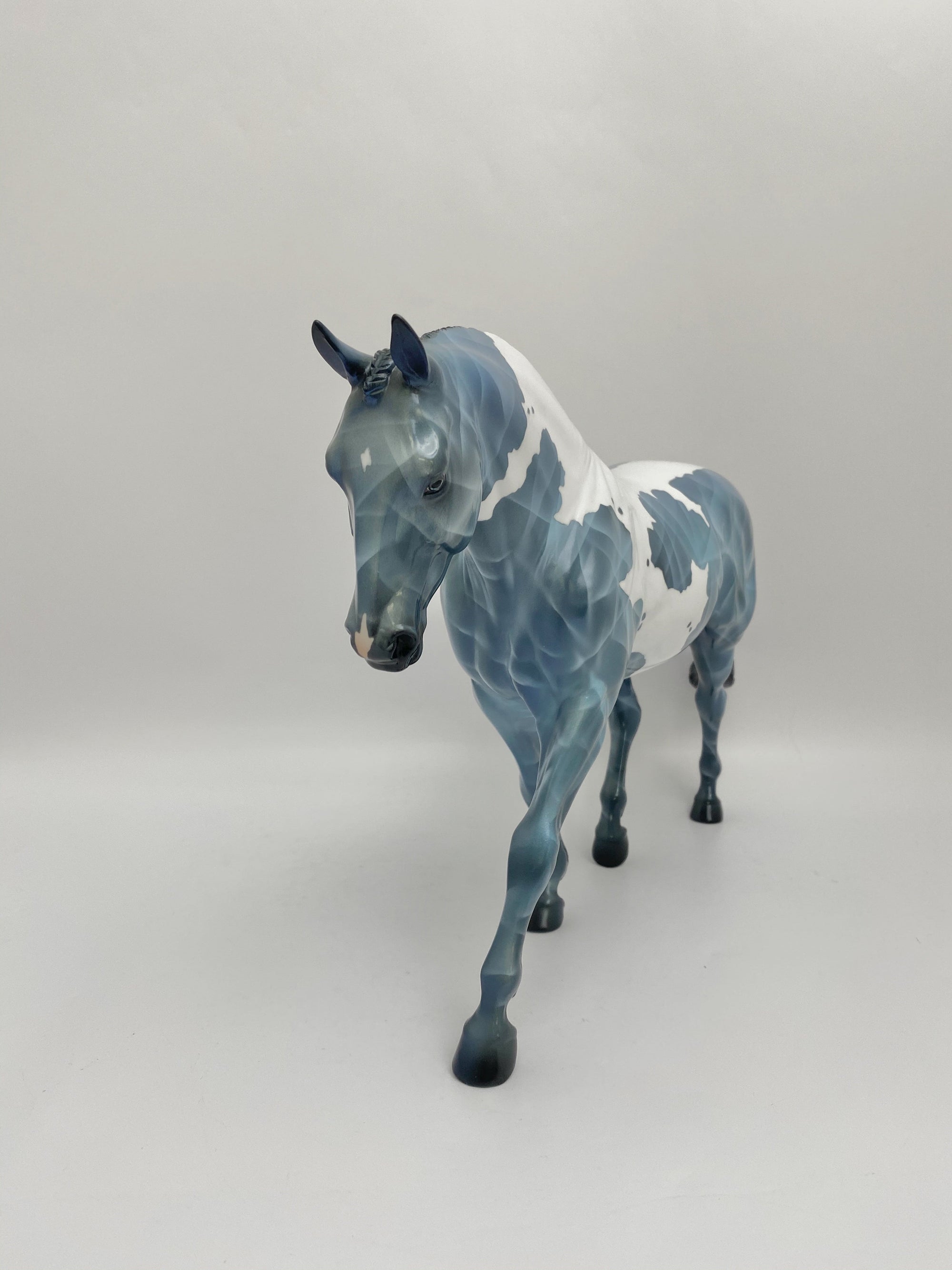 PRECIOUS STONE IRISH DRAFT OOAK BY JAS FANNING EQ 2020