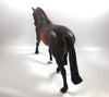 CROSS BARRED-LE-3 DARK DAPPLE BAY IRISH DRAFT MODEL HORSE BY MISSY FOX SHCF19