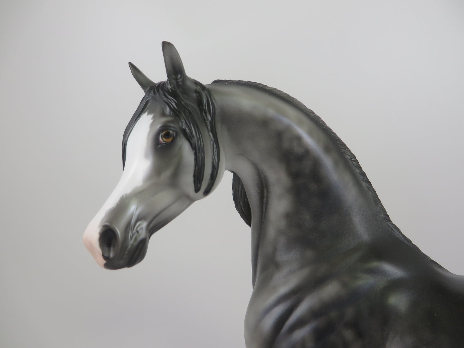 ILLUMINATI-LE-10 DARK DAPPLE GREY ARABIAN BY JULIE KEIM MM 19