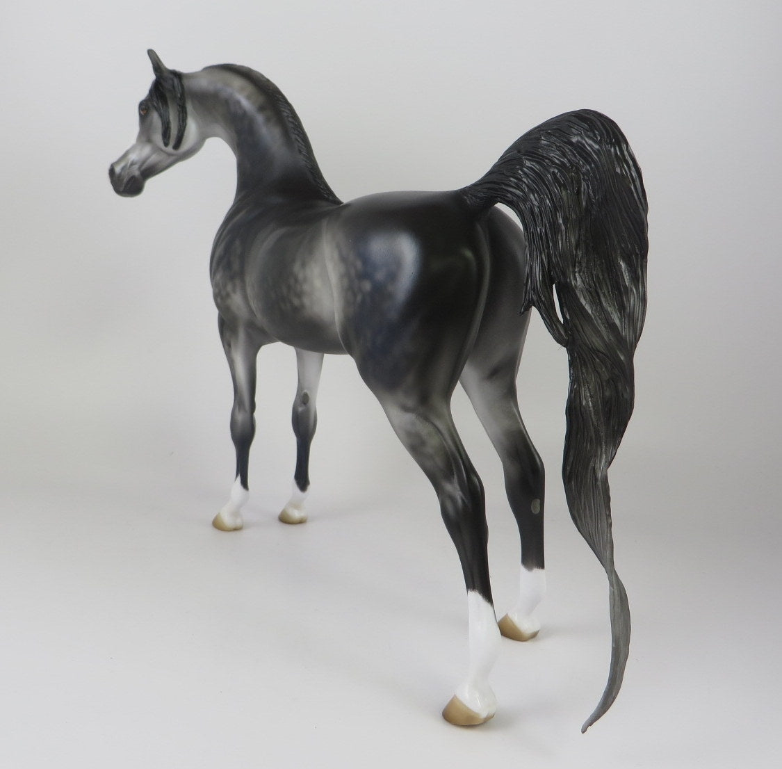 ILLUMINATI-LE-10 DARK DAPPLE GREY ARABIAN BY JULIE KEIM MM 19