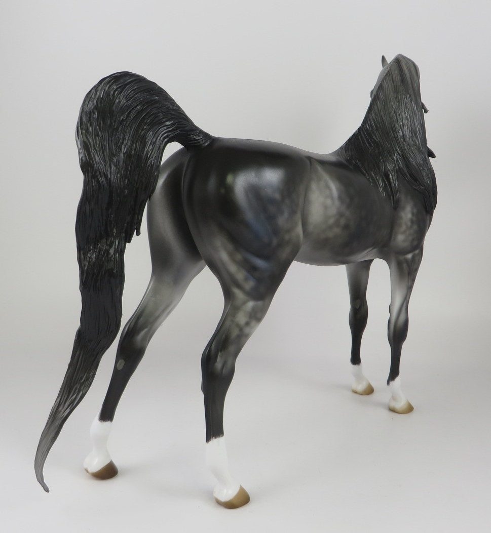 ILLUMINATI-LE-10 DARK DAPPLE GREY ARABIAN BY JULIE KEIM MM 19