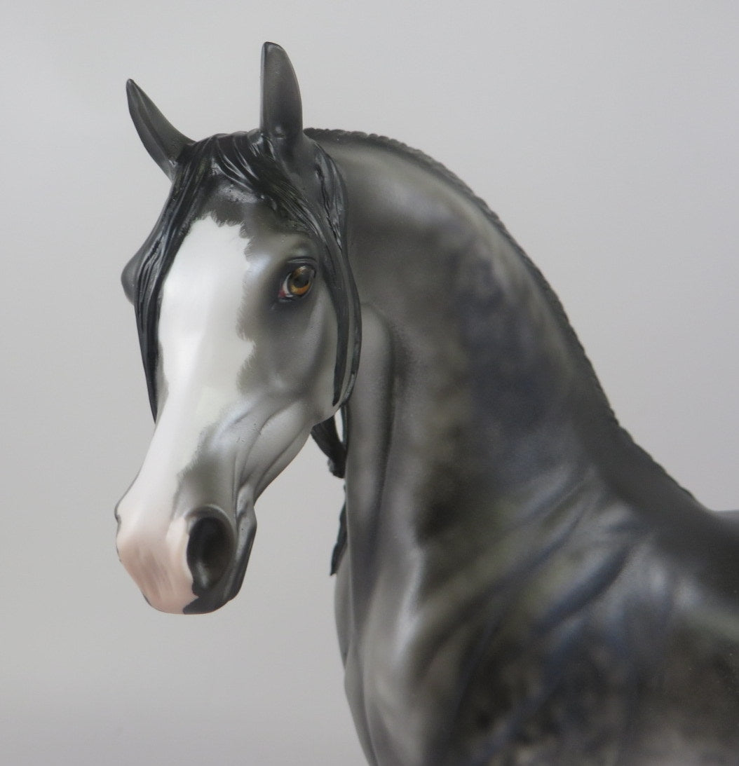ILLUMINATI-LE-10 DARK DAPPLE GREY ARABIAN BY JULIE KEIM MM 19