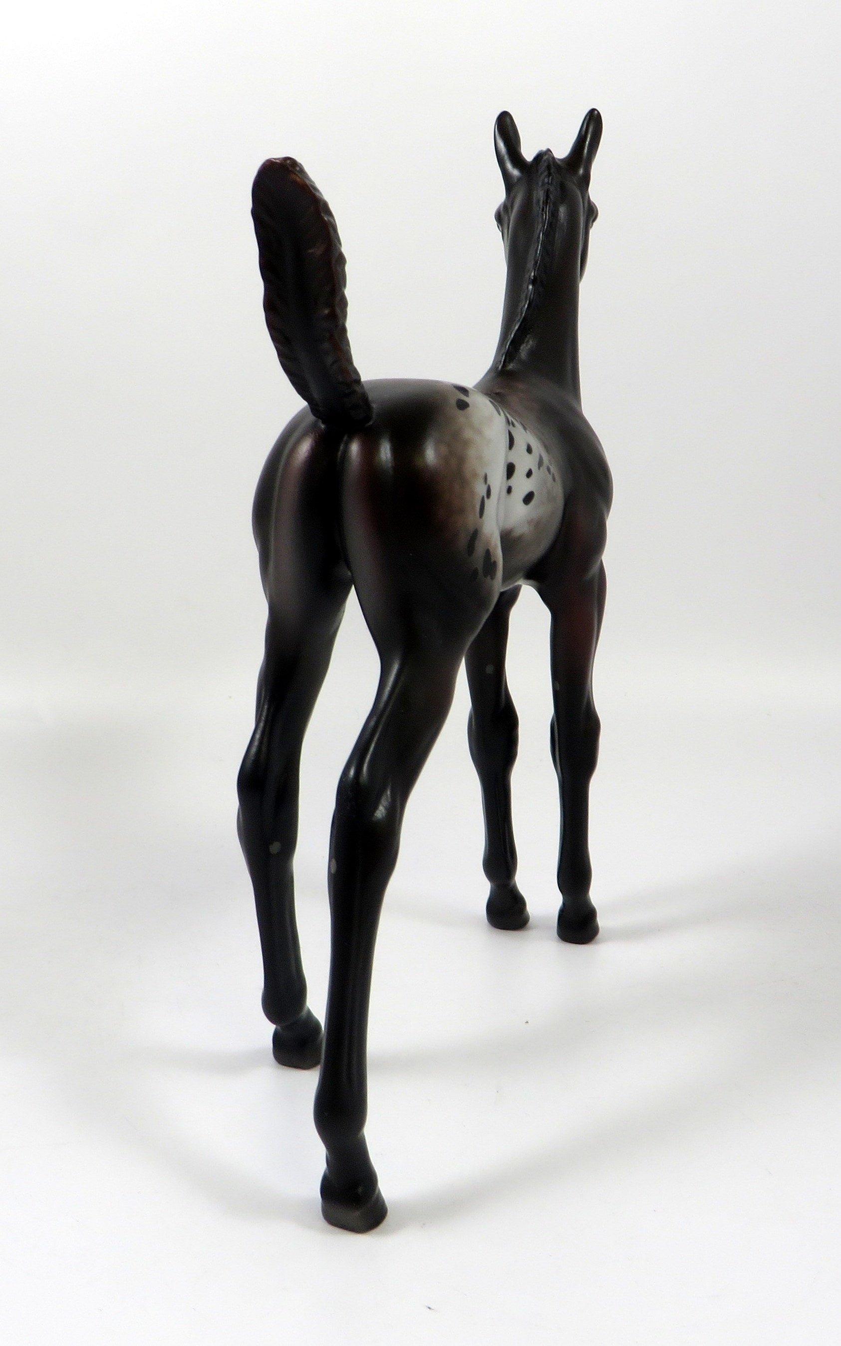 FOXY SPOTS - OOAK BAY APPALOOSA FOAL BY MISSY FOX 8/1/19