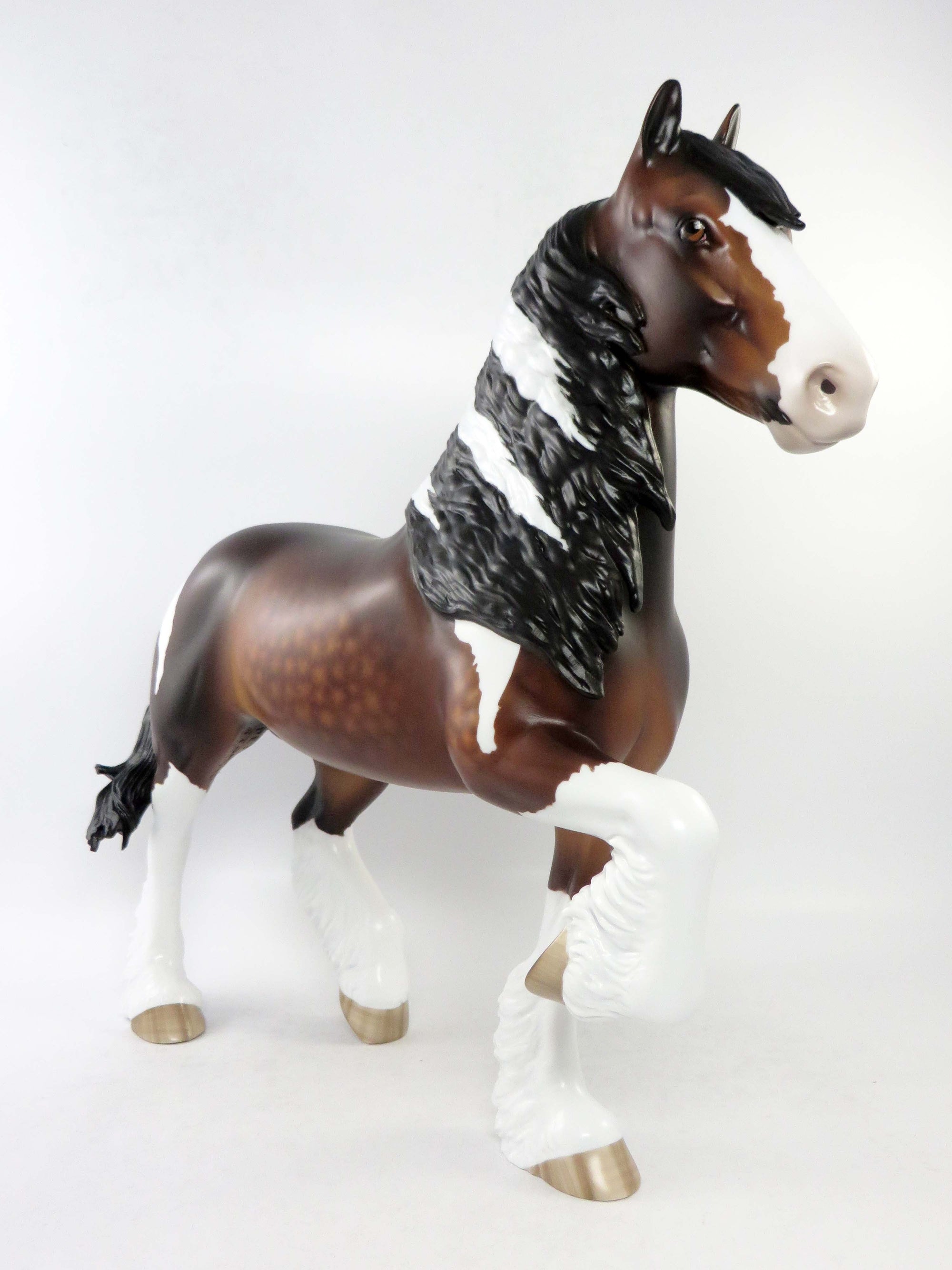 ROCHESTER-LE-4 BAY PINTO TROTTING DRAFTER EQ 2018