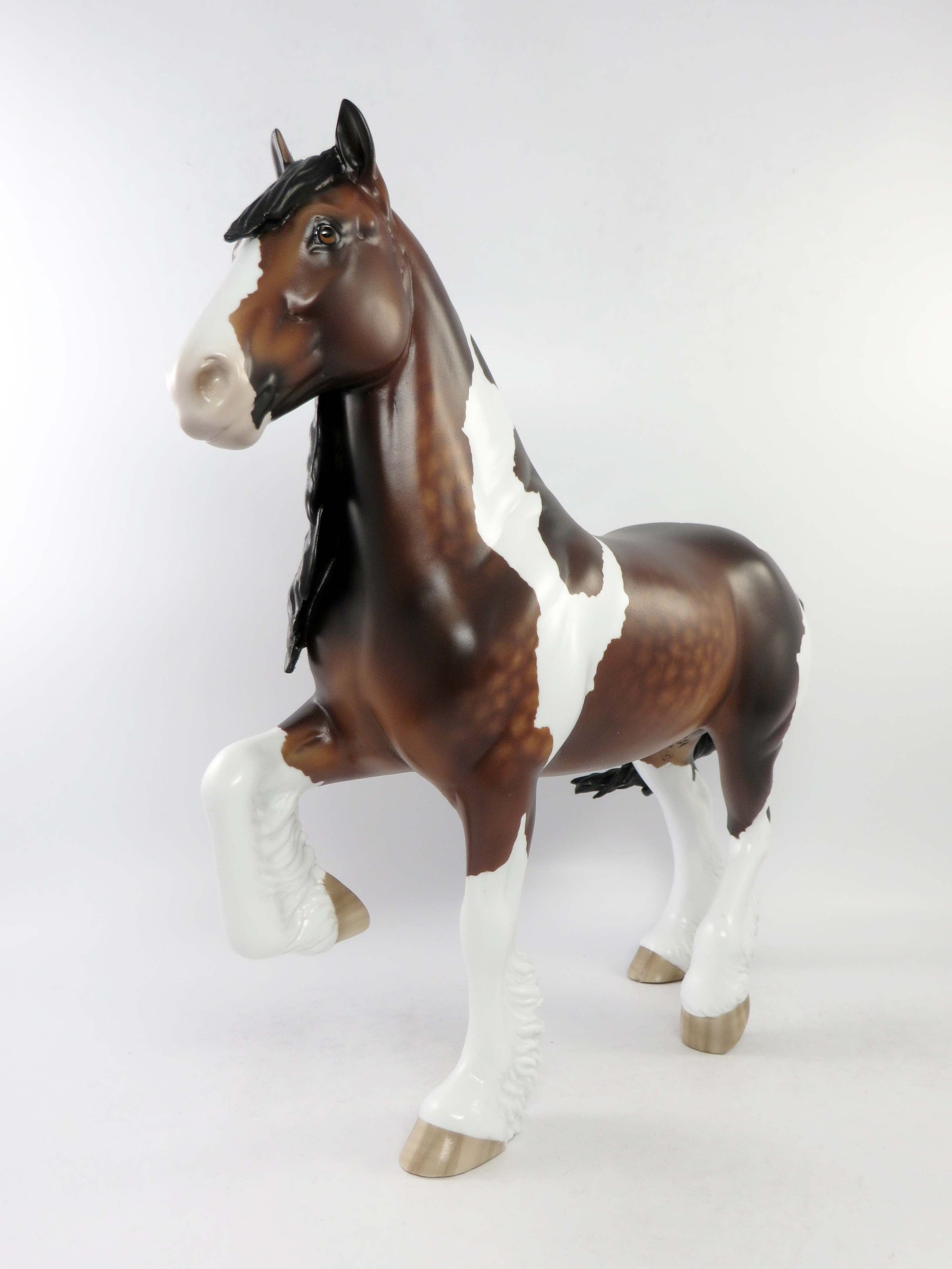 ROCHESTER-LE-4 BAY PINTO TROTTING DRAFTER EQ 2018