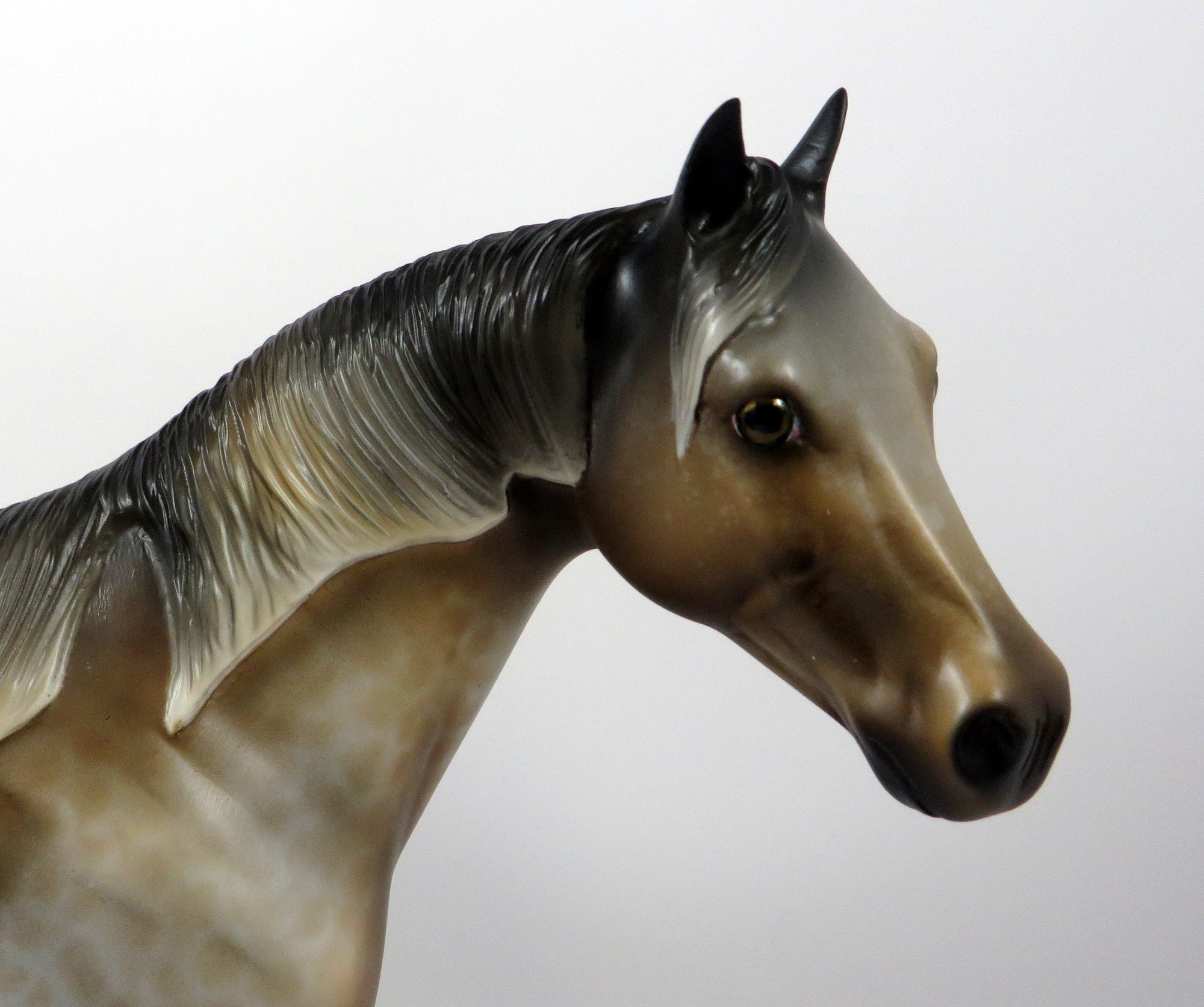 FOXY IN LACE -OOAK LACED BAY ISH MODEL HORSE BY MISSY FOX 8/1/19