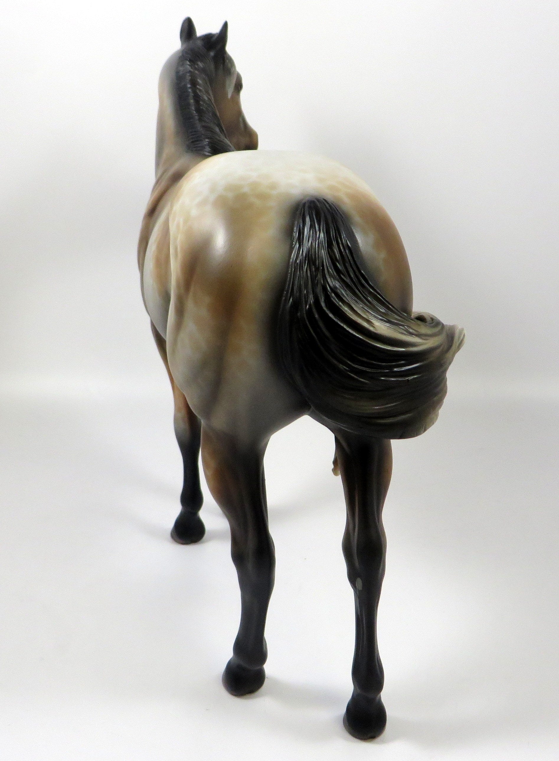 FOXY IN LACE -OOAK LACED BAY ISH MODEL HORSE BY MISSY FOX 8/1/19