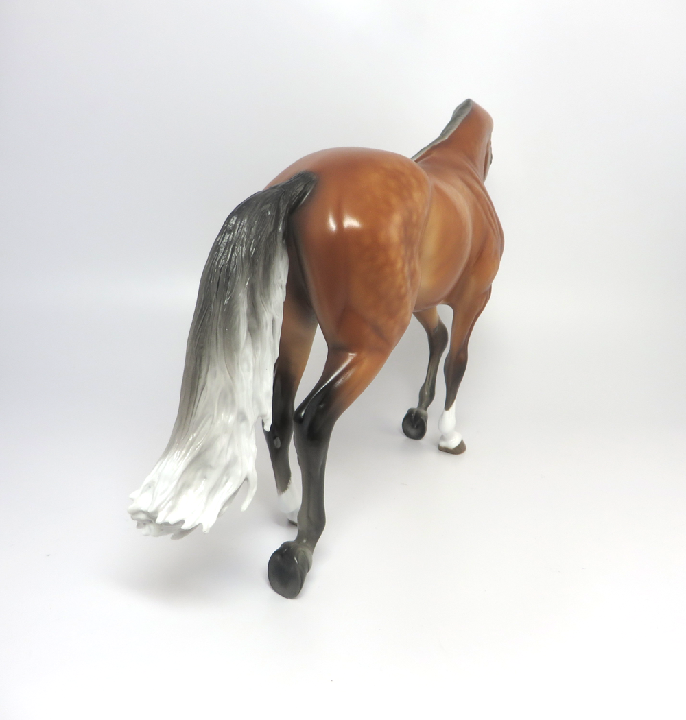 Savannah Silver Bay Thoroughbred