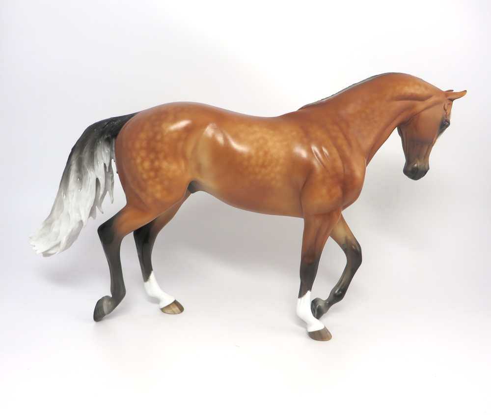 Stone Horse Thoroughbed