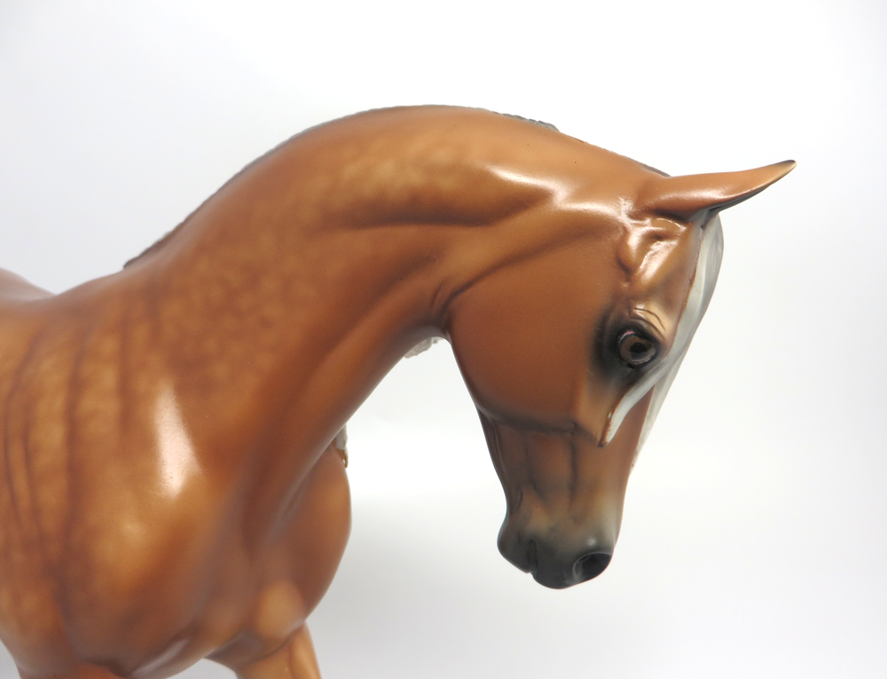 Stone Horse Savannah