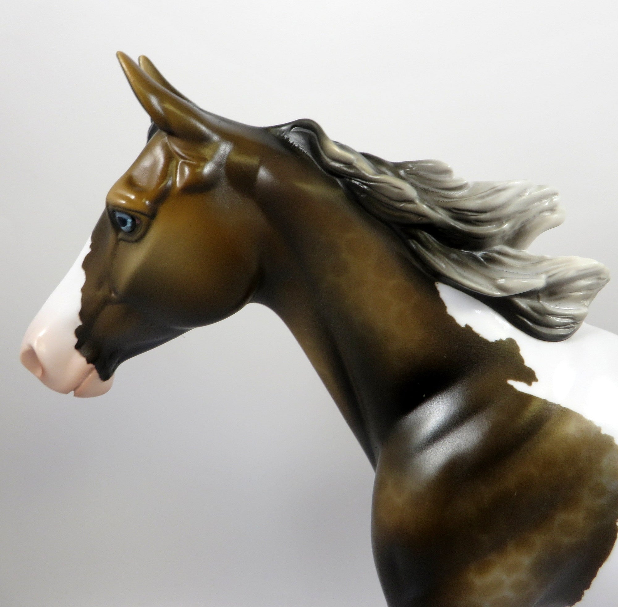 FOXY BOY-OOAK LACED SOOTY BUCKSKIN PINTO PALOUSE BY MISSY FOX 8/1/19