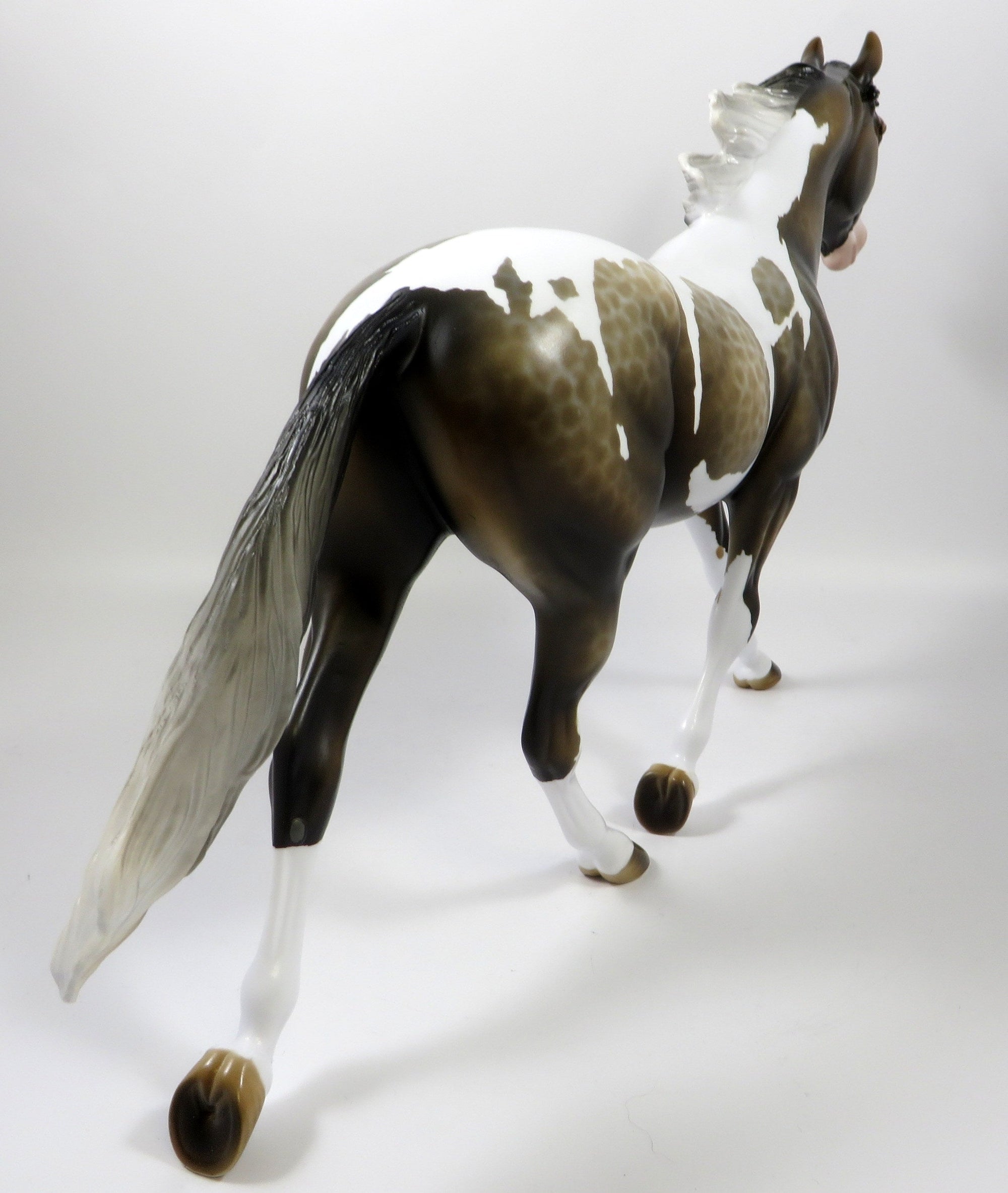 FOXY BOY-OOAK LACED SOOTY BUCKSKIN PINTO PALOUSE BY MISSY FOX 8/1/19